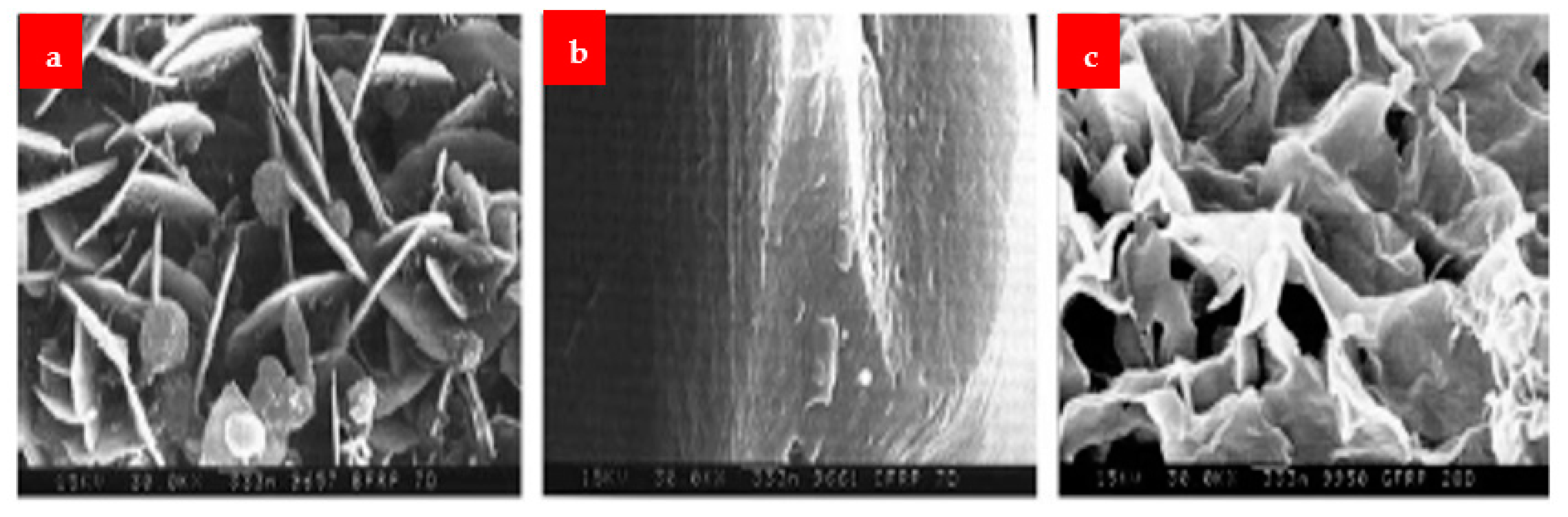 Materials 16 00429 g017