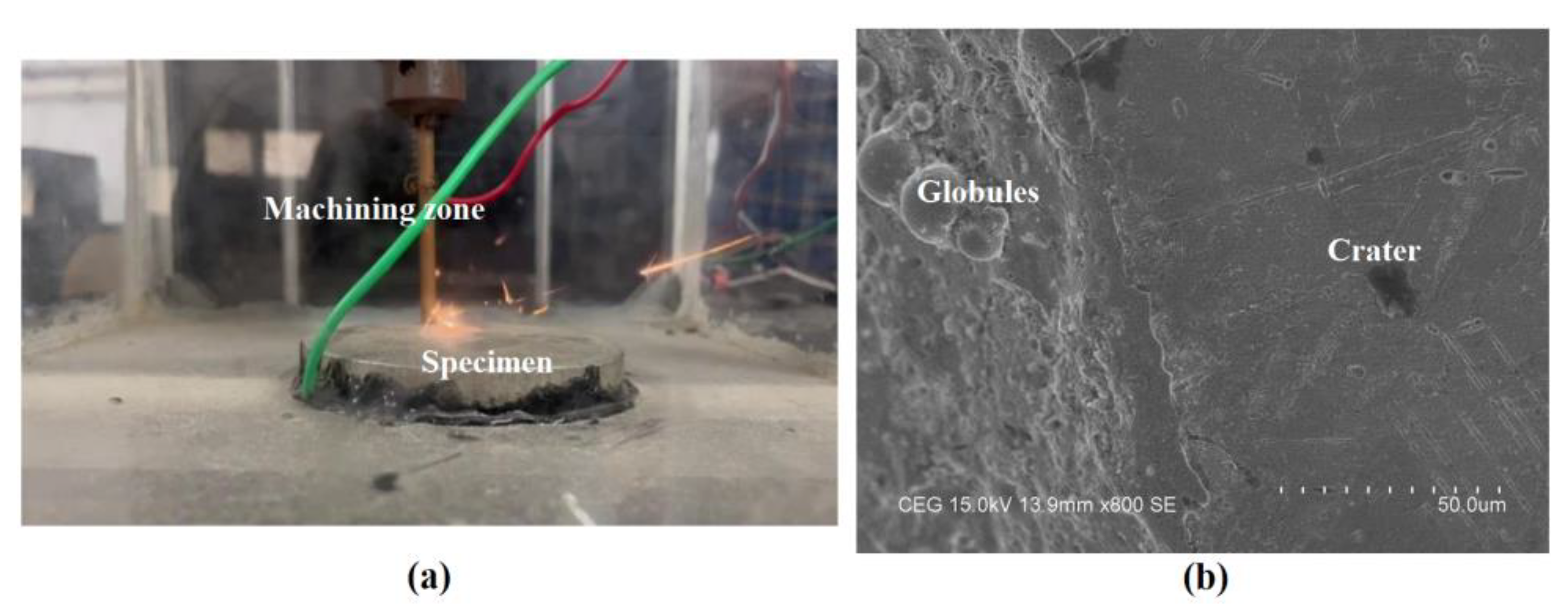 Materials 16 00434 g012