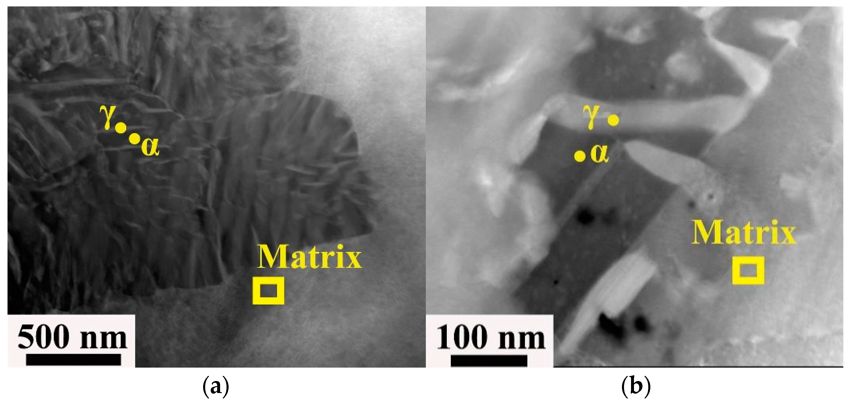 Materials 16 00444 g008