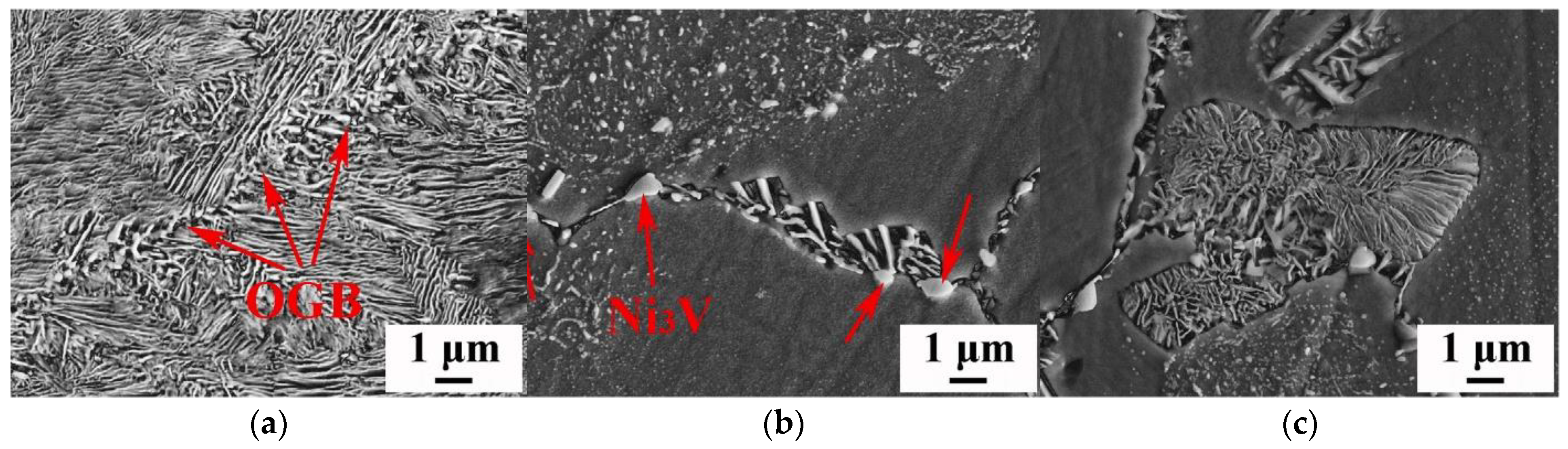 Materials 16 00444 g010
