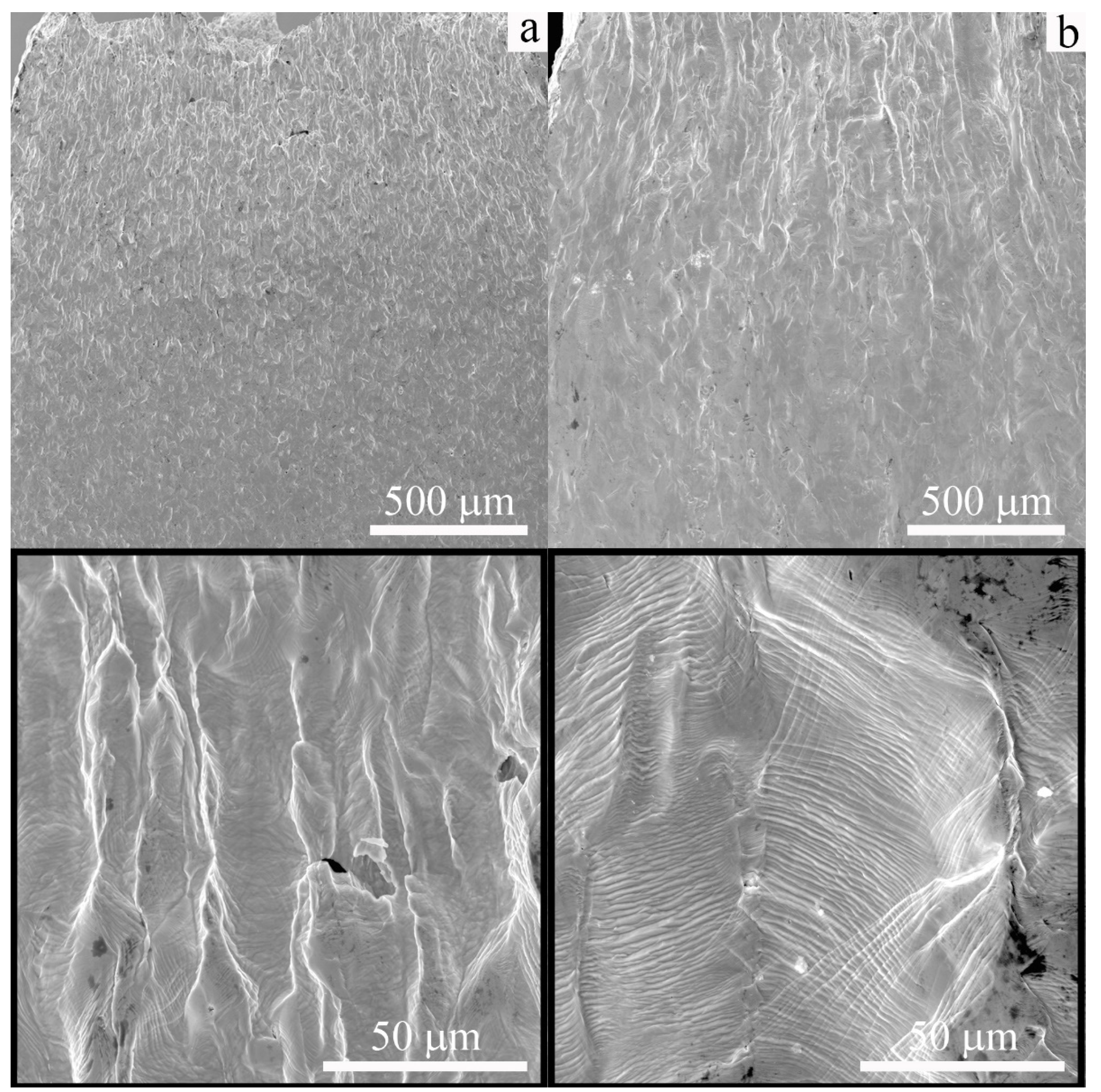 Materials 16 00446 g006