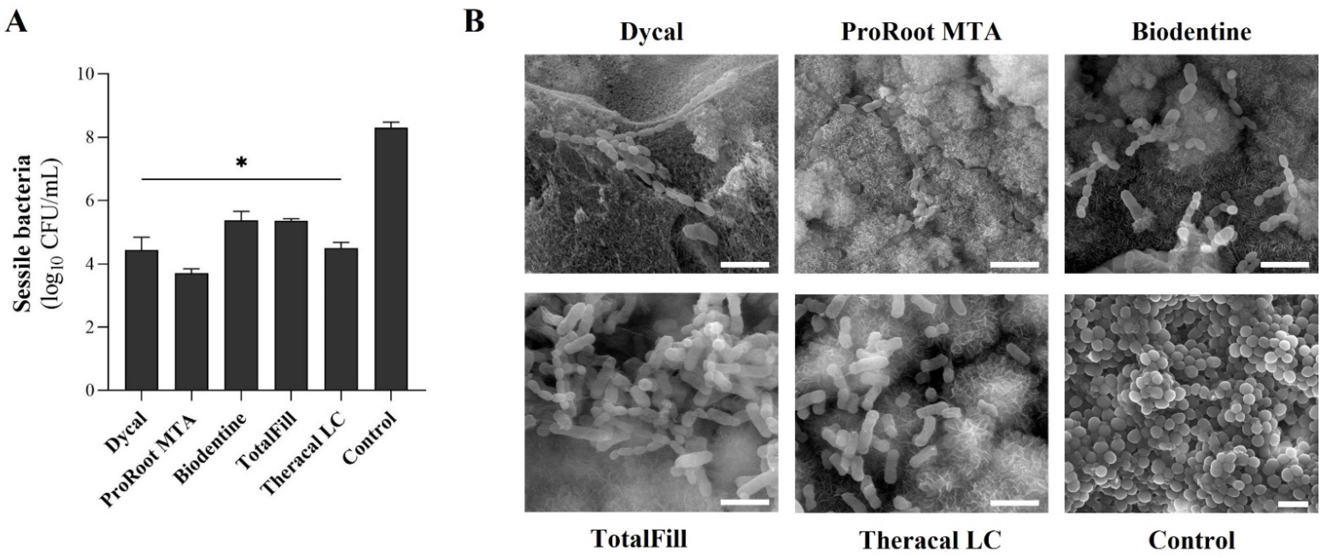 Materials 16 00450 g002 Materials 16 00450 g002