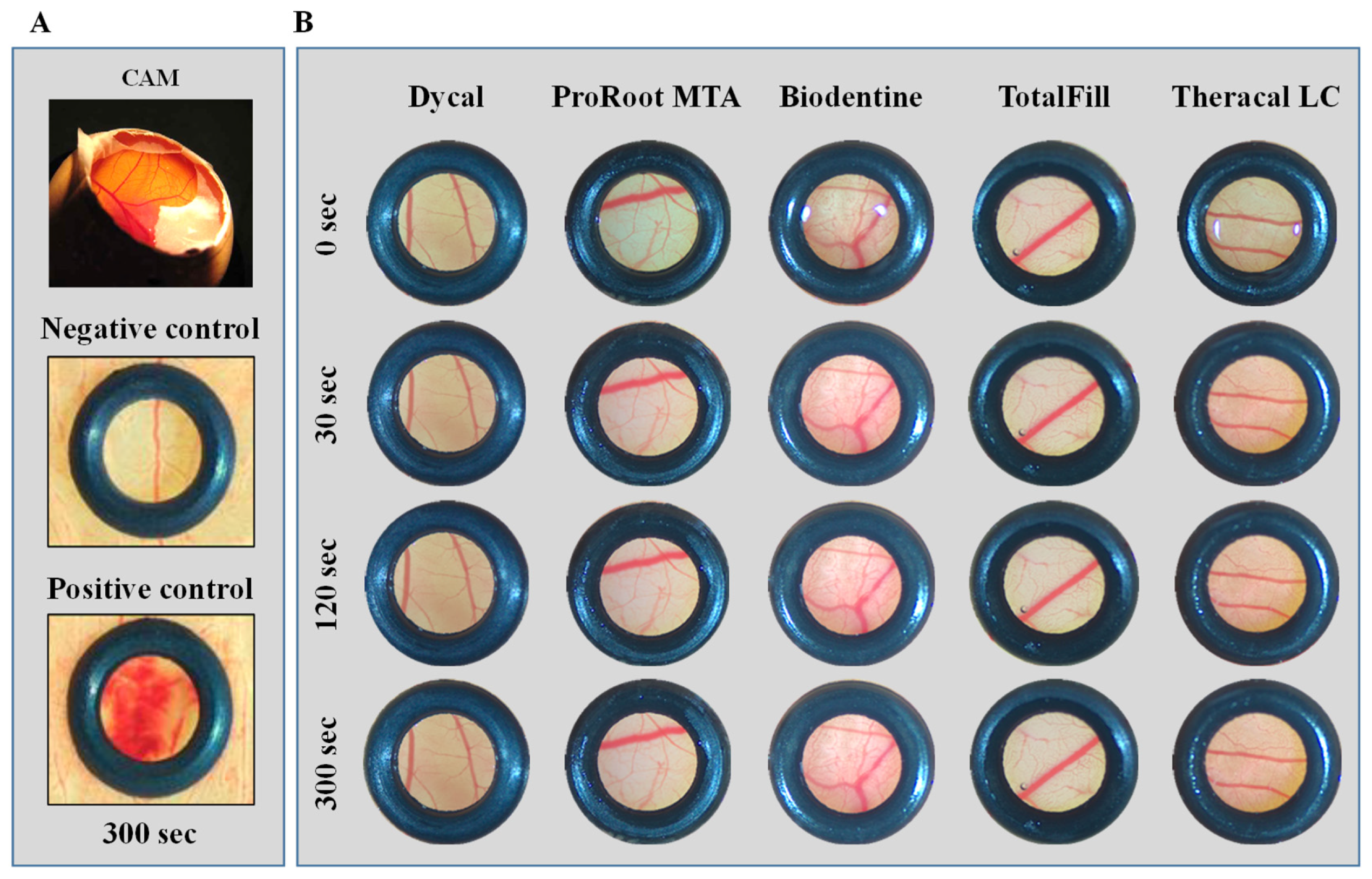 Materials 16 00450 g003 Materials 16 00450 g003