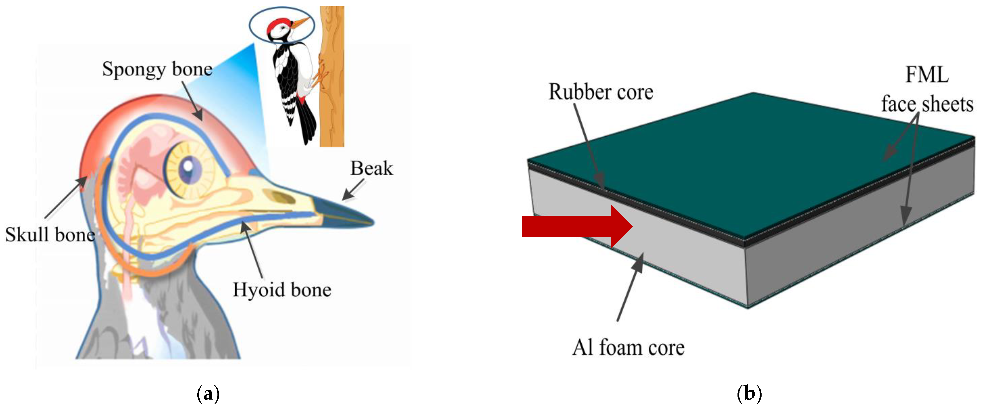 Materials 16 00453 g001 Materials 16 00453 g001