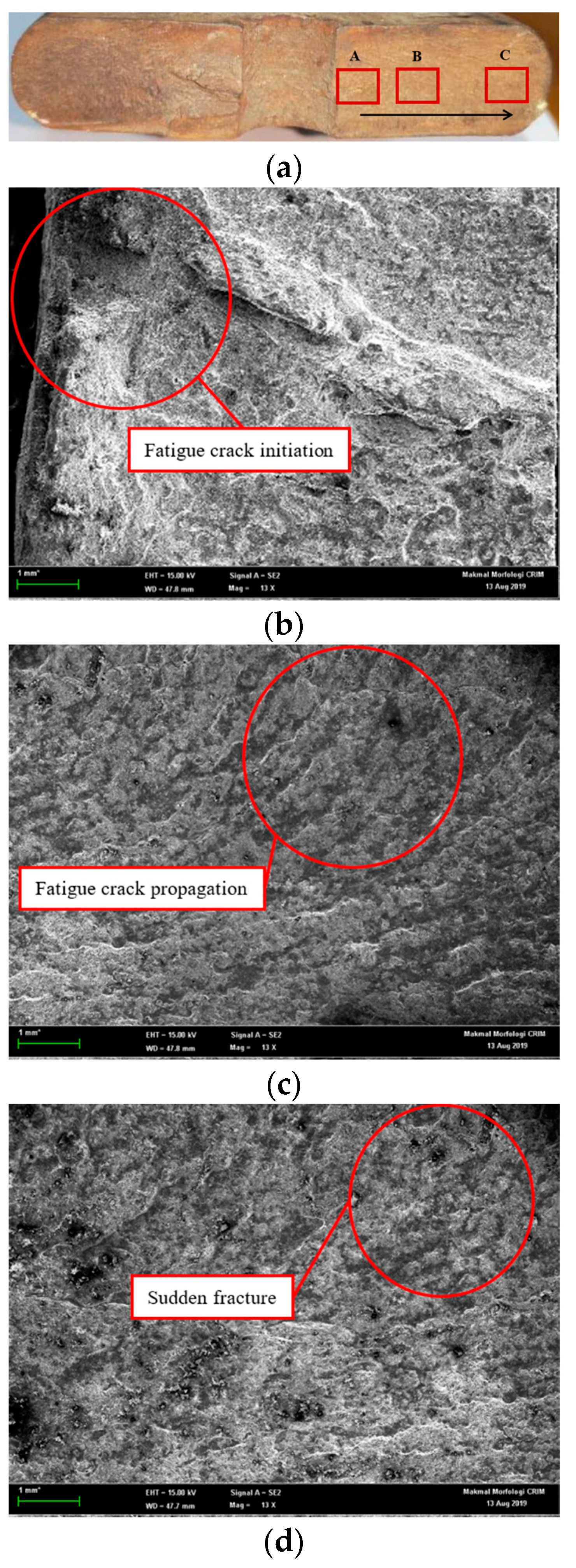 Materials 16 00456 g005 Materials 16 00456 g005