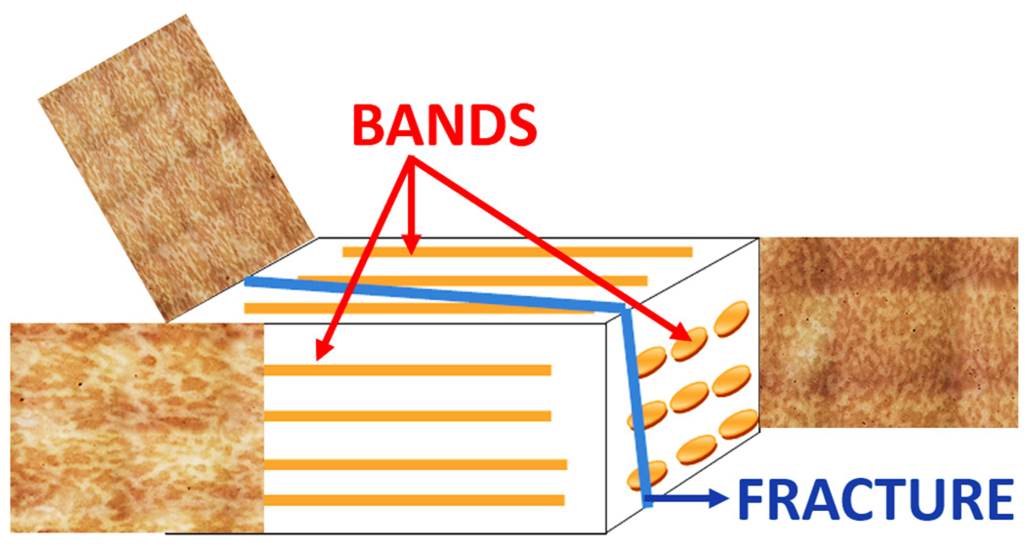 Materials 16 00471 g004 Materials 16 00471 g004