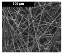 Materials 16 00474 i001 Materials 16 00474 i001