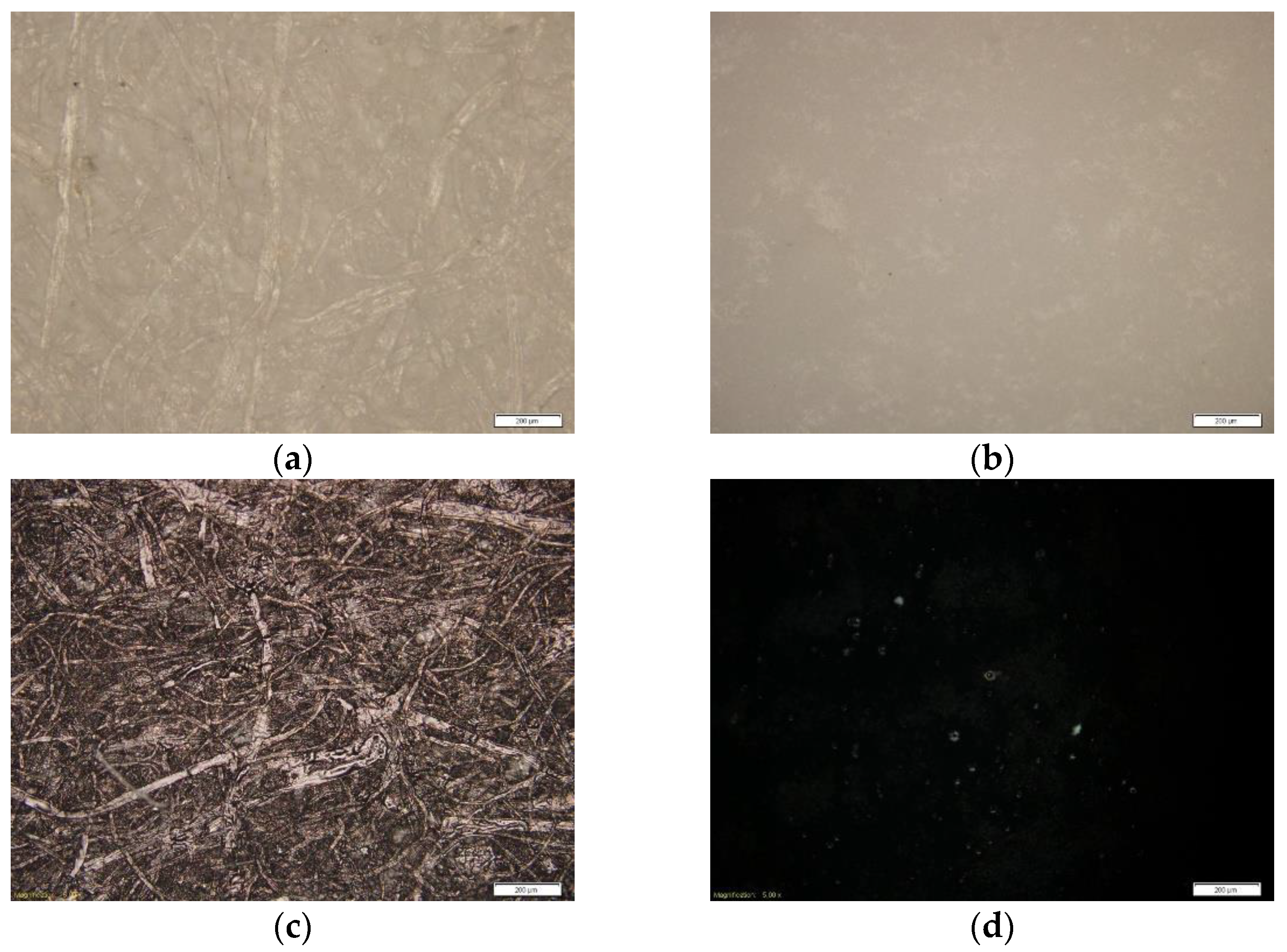 Materials 16 00478 g001 Materials 16 00478 g001