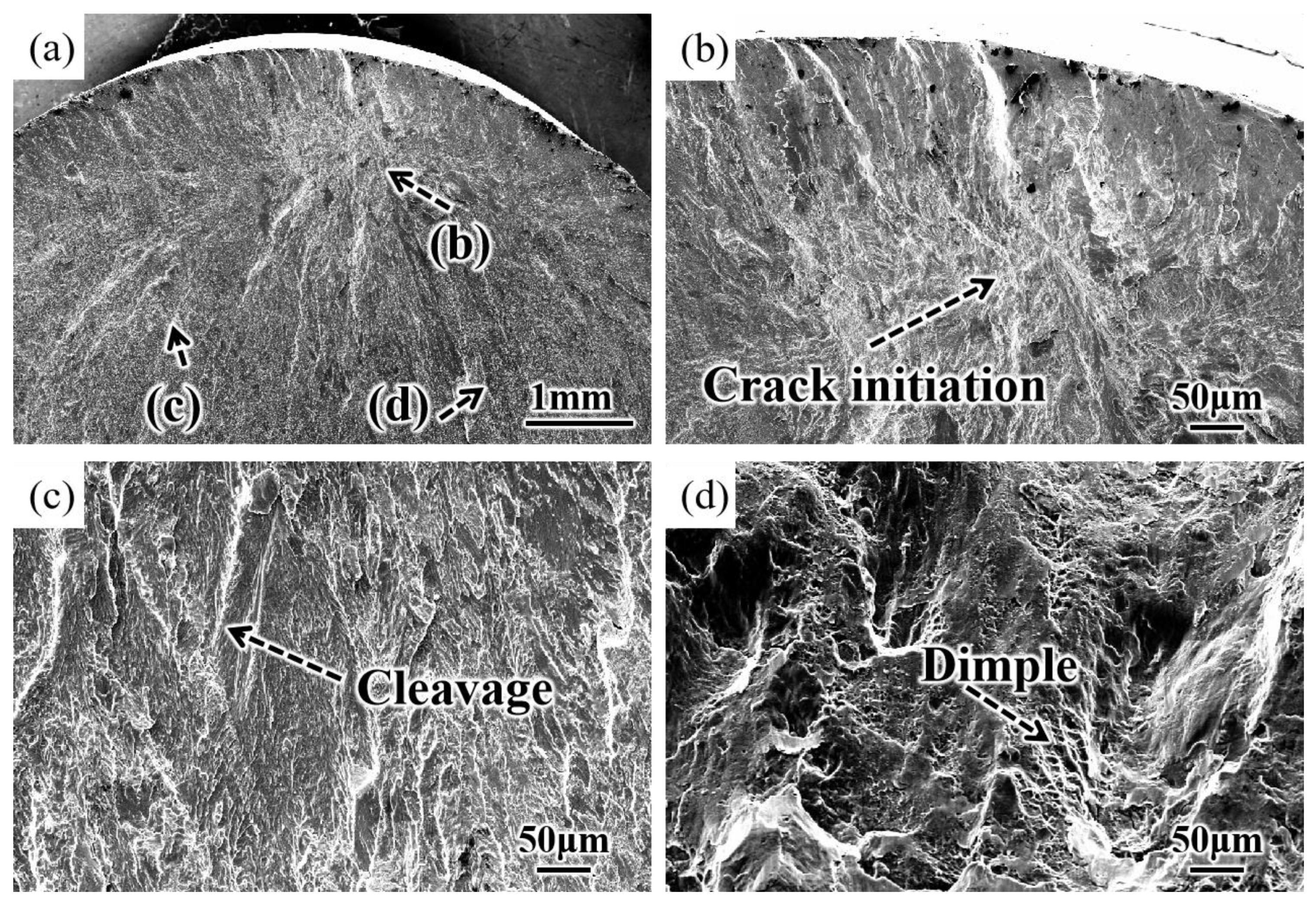 Materials 16 00485 g014