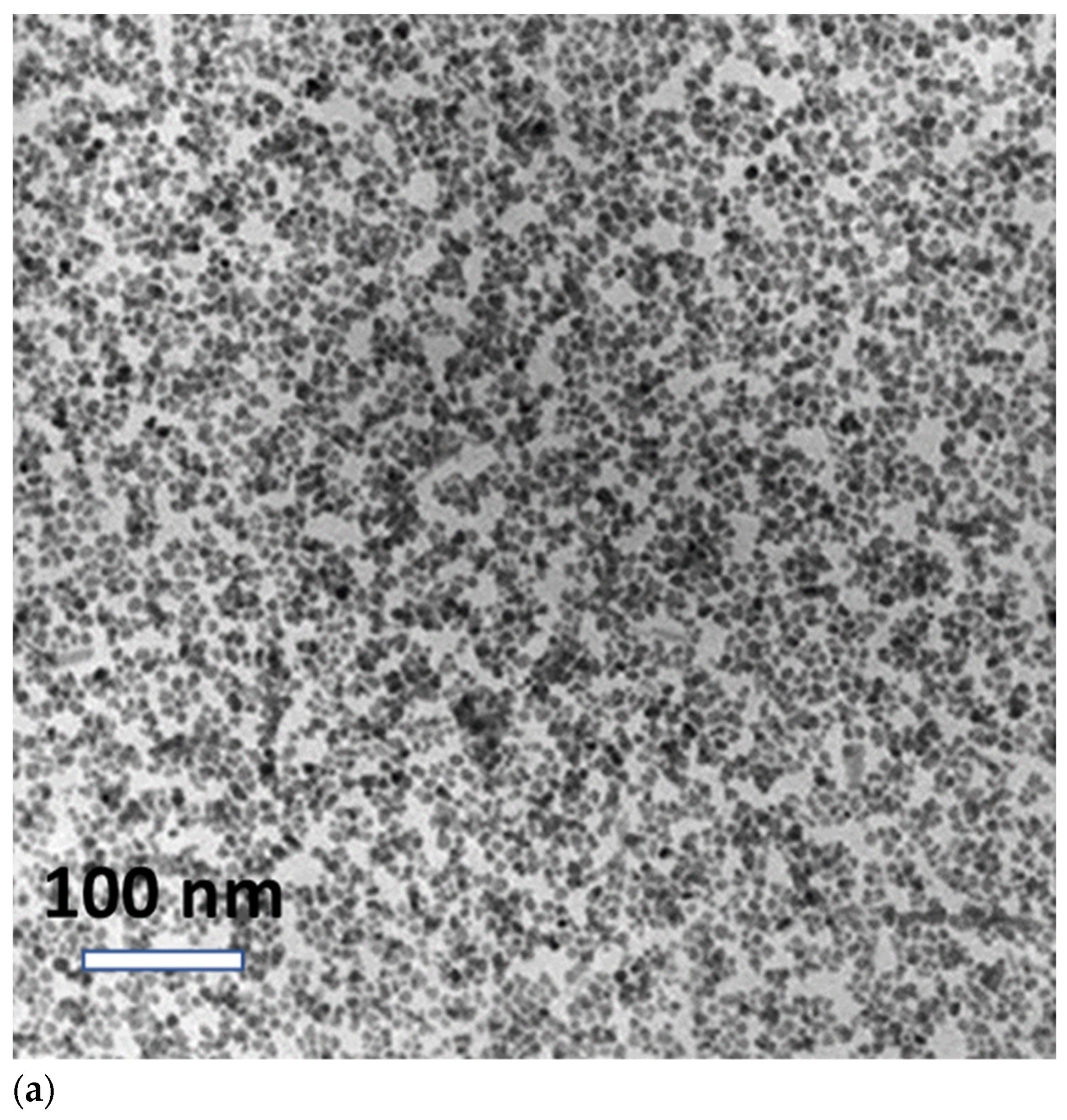 Materials 16 00496 g001a