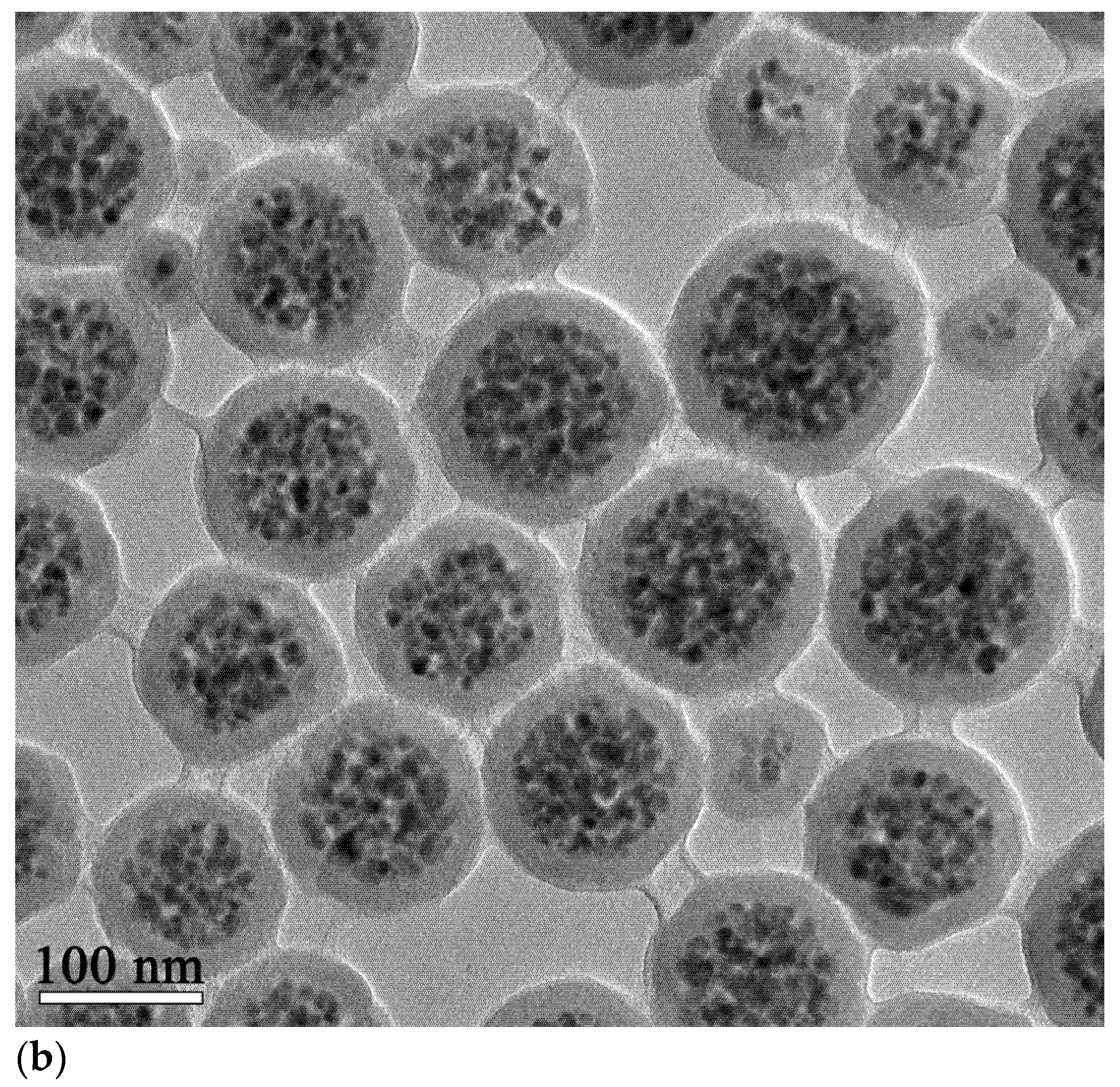 Materials 16 00496 g001b