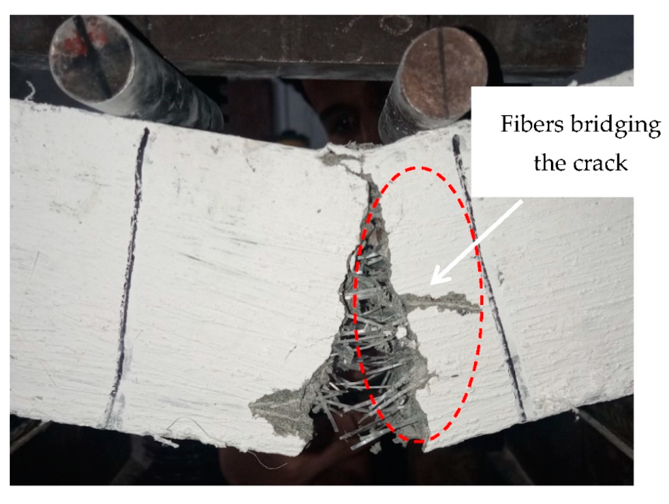 Materials 16 00512 g009