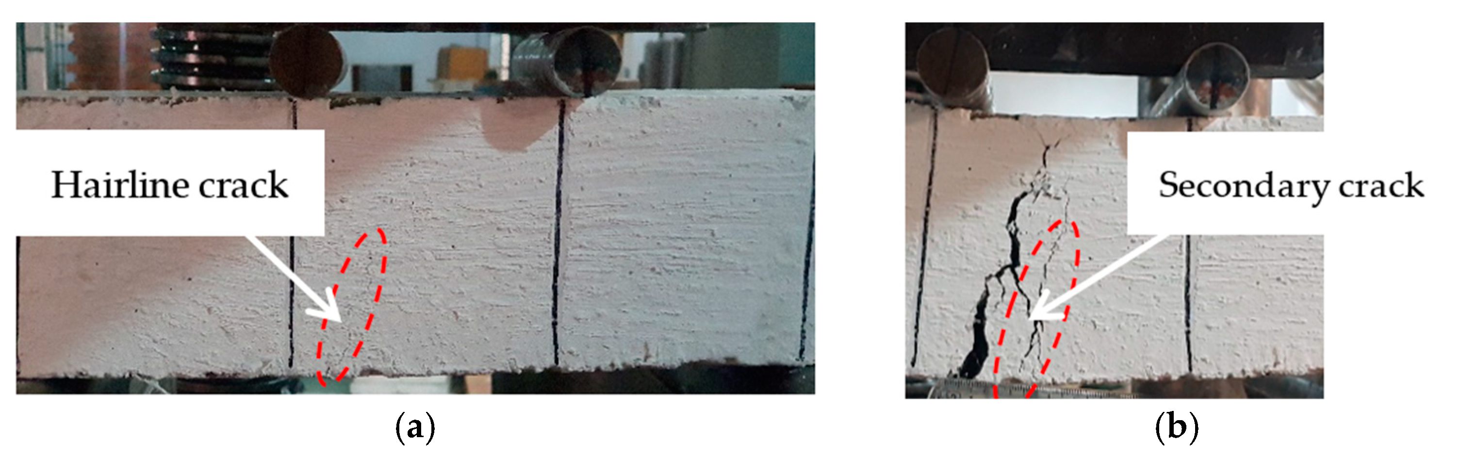 Materials 16 00512 g010