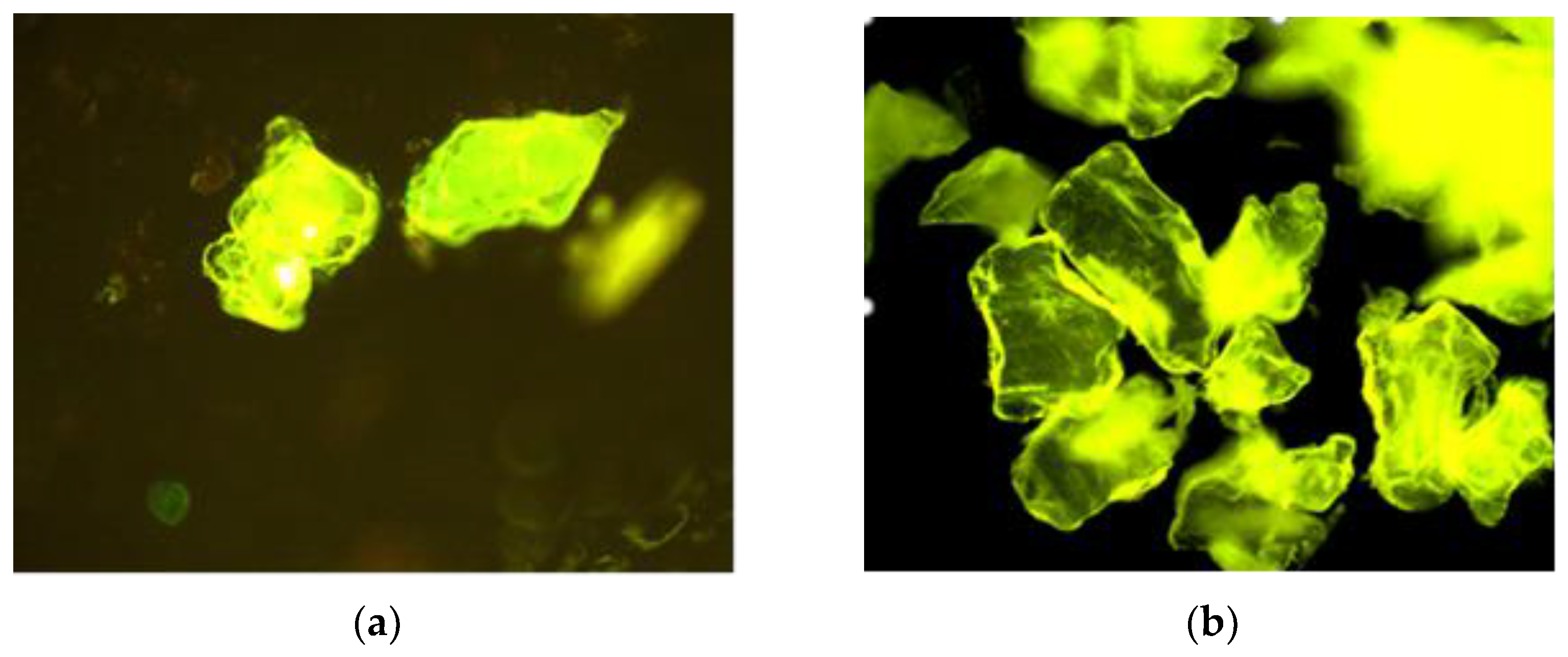 Materials 16 00525 g007