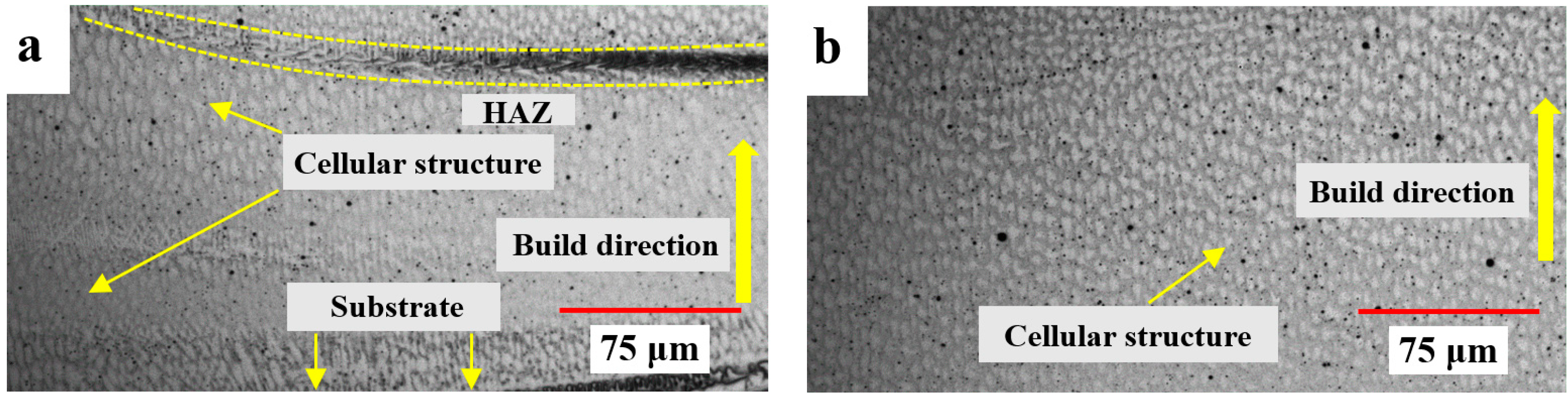 Materials 16 00535 g006a Materials 16 00535 g006a