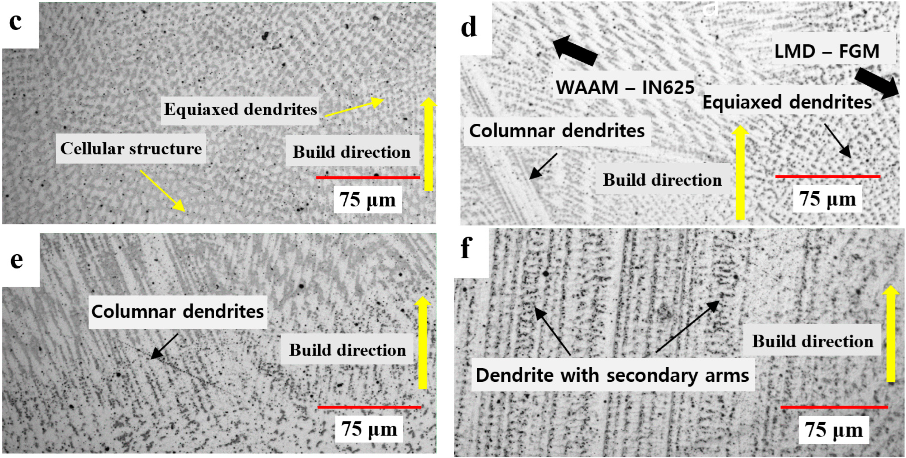 Materials 16 00535 g006b Materials 16 00535 g006b