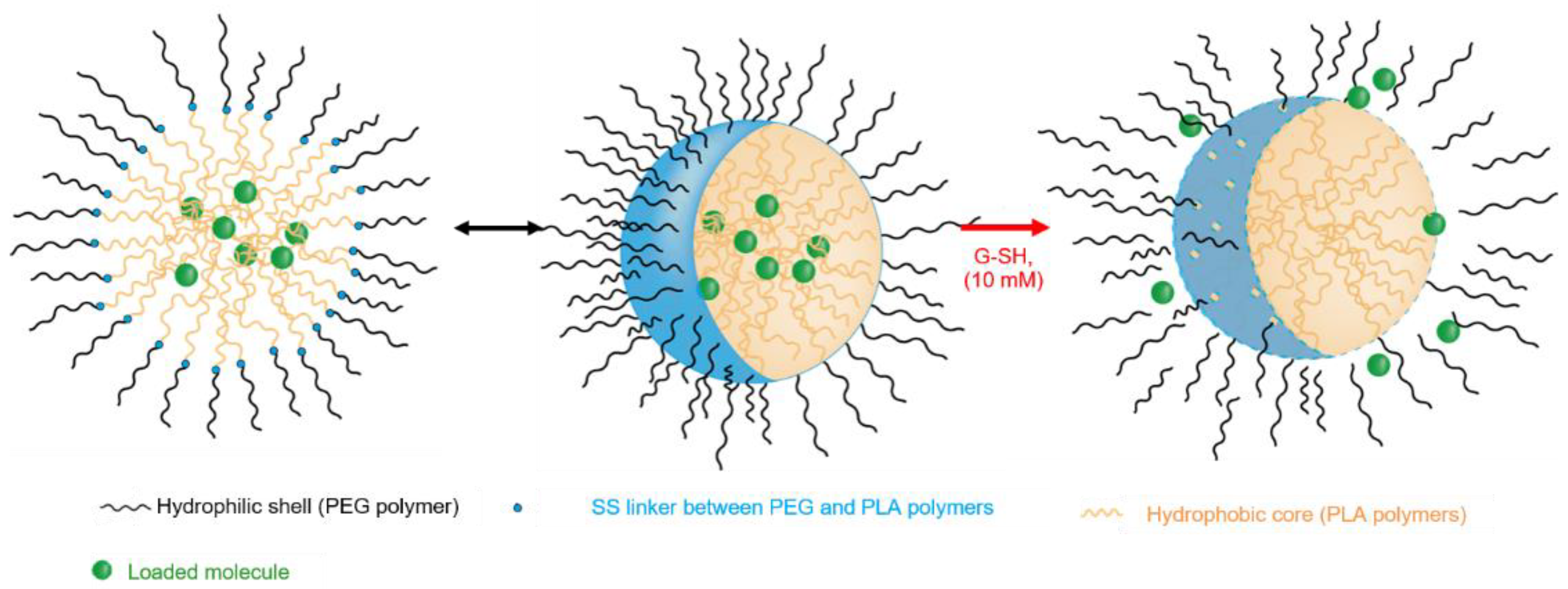 Materials 16 00539 g005