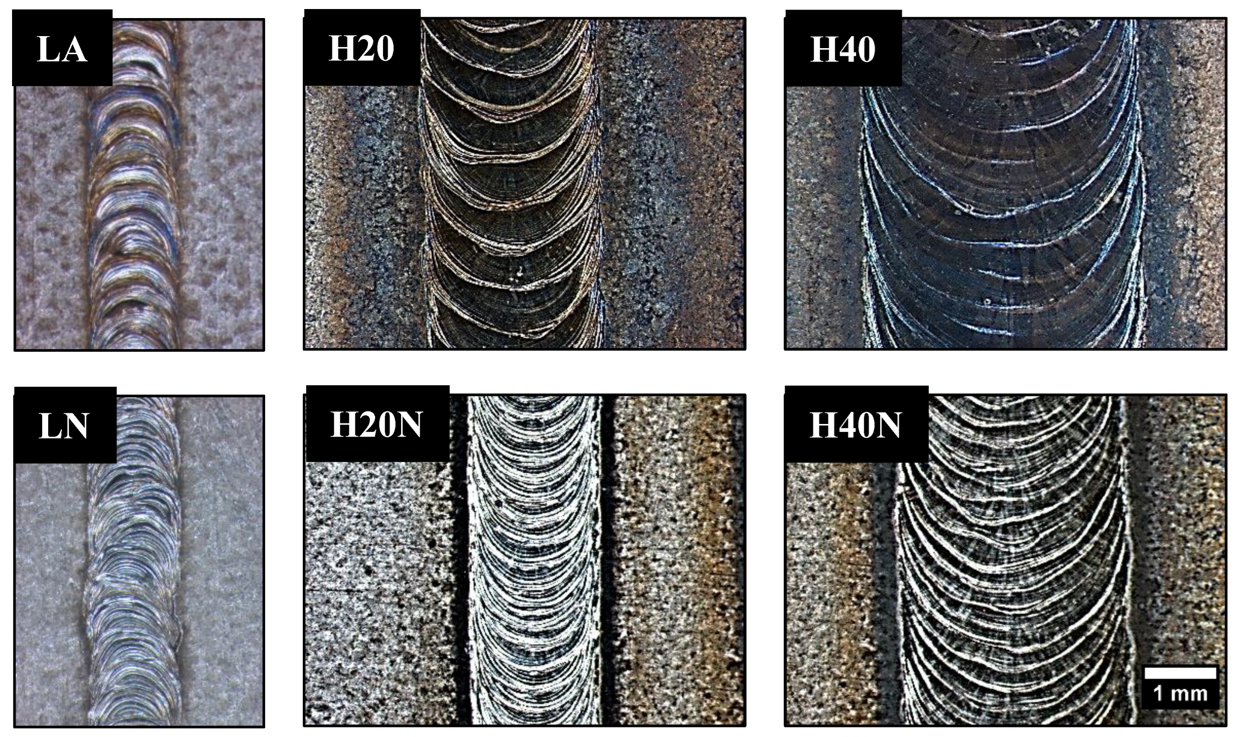 Materials 16 00543 g006 Materials 16 00543 g006