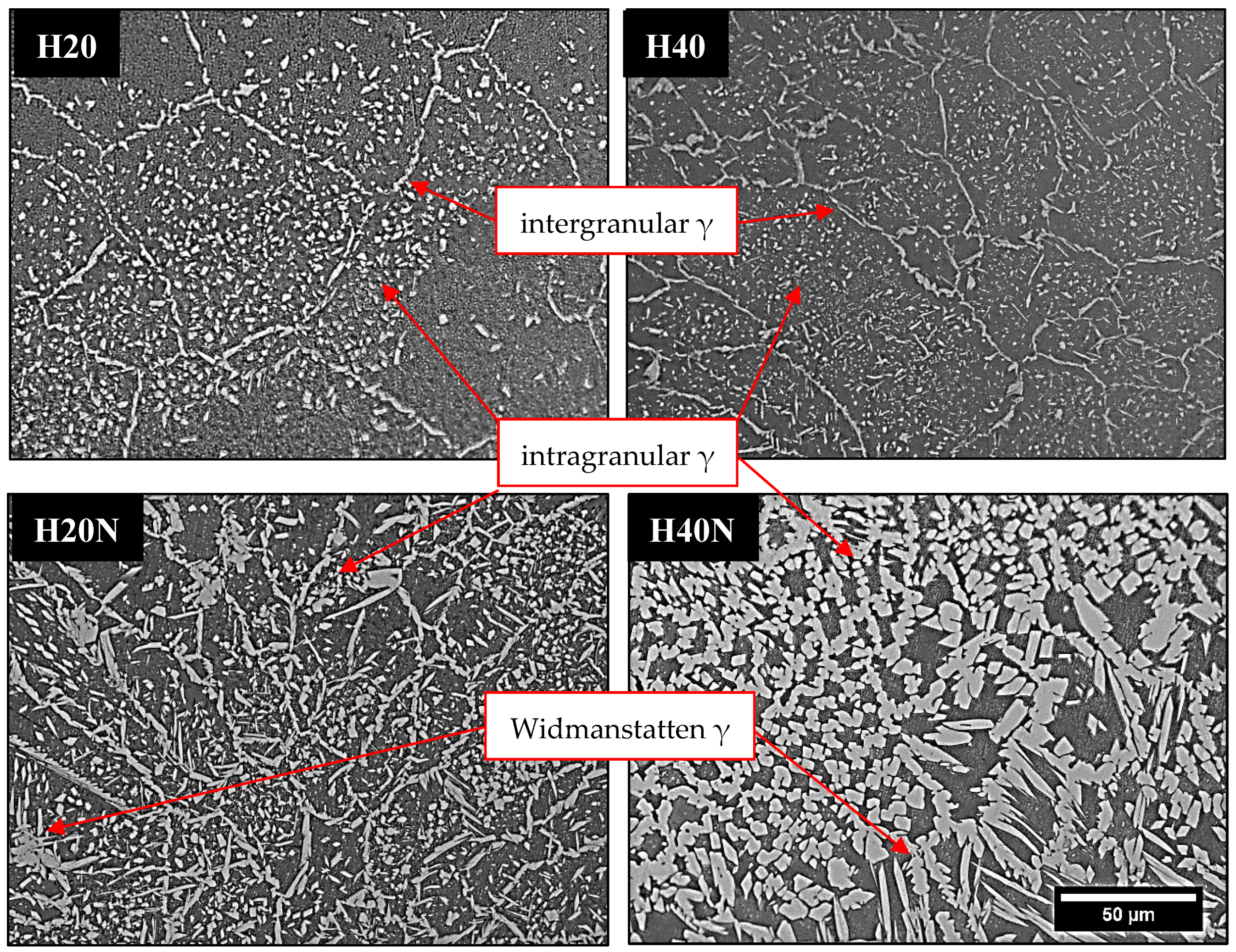 Materials 16 00543 g010 Materials 16 00543 g010