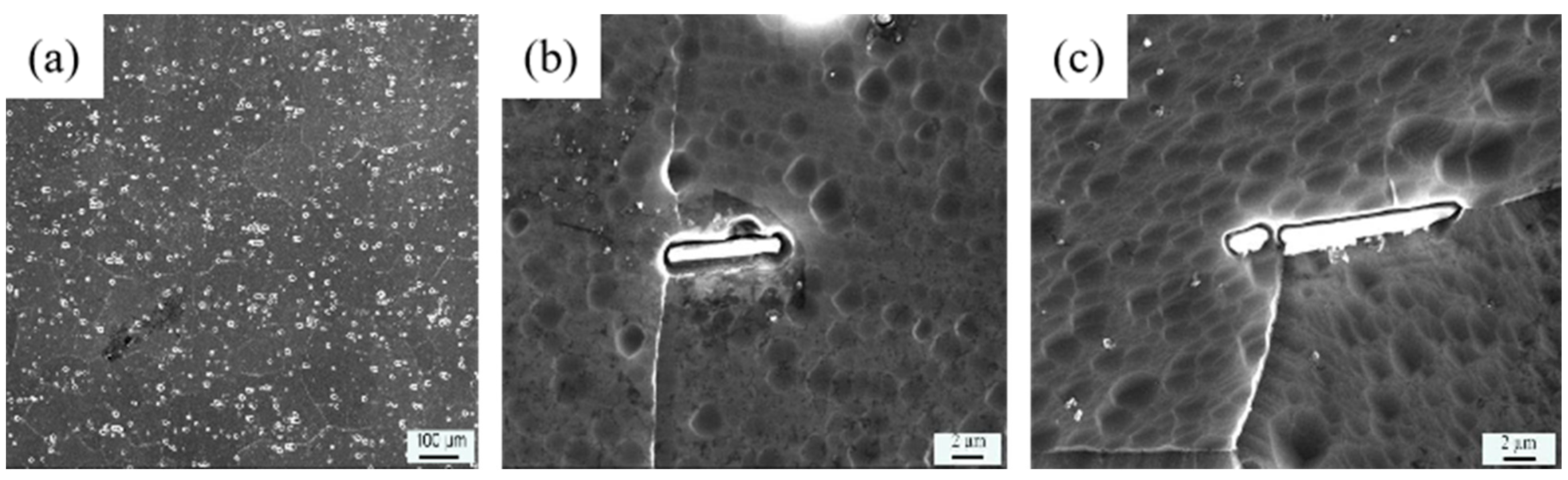 Materials 16 00544 g001 Materials 16 00544 g001