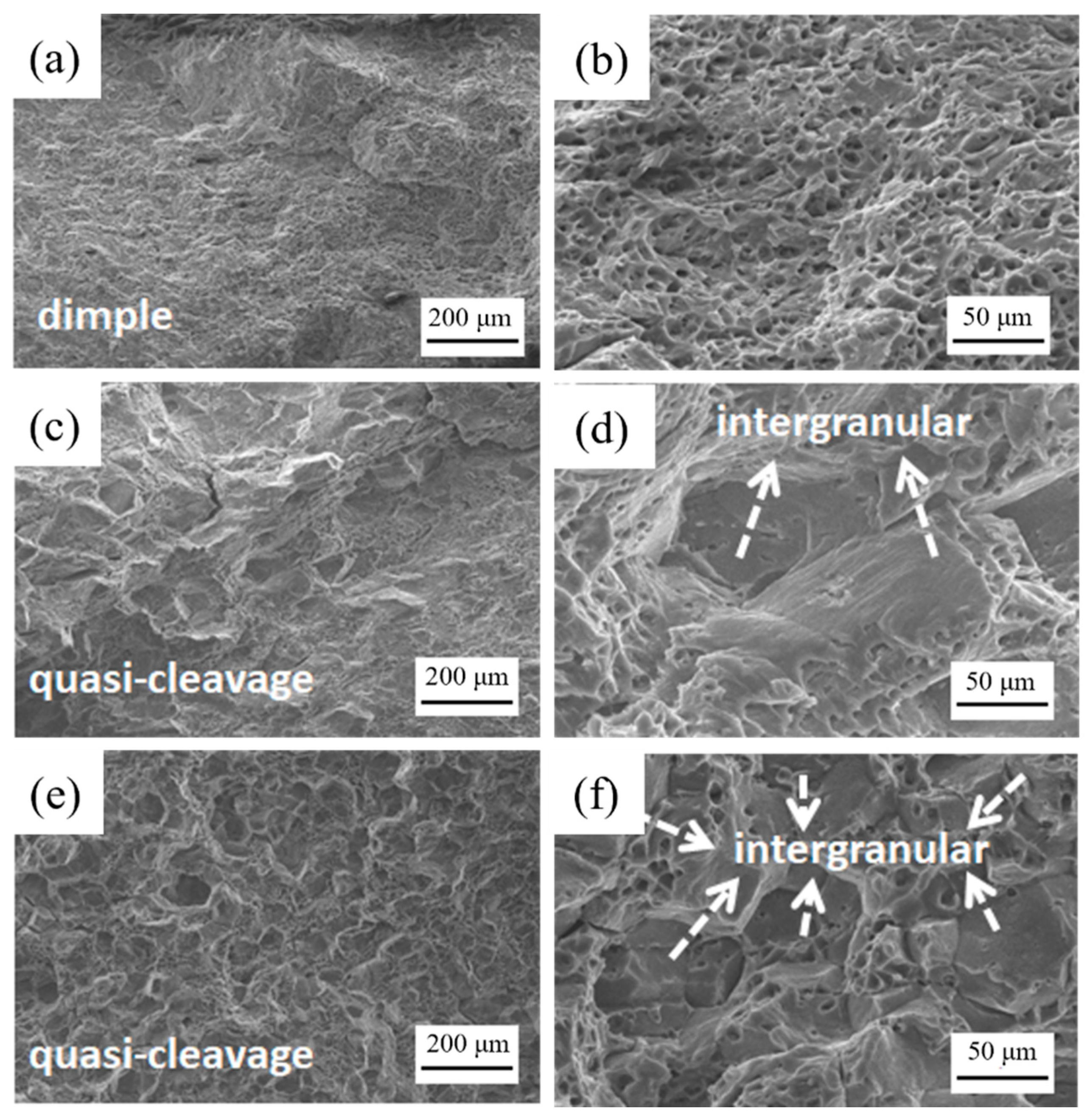Materials 16 00544 g007 Materials 16 00544 g007