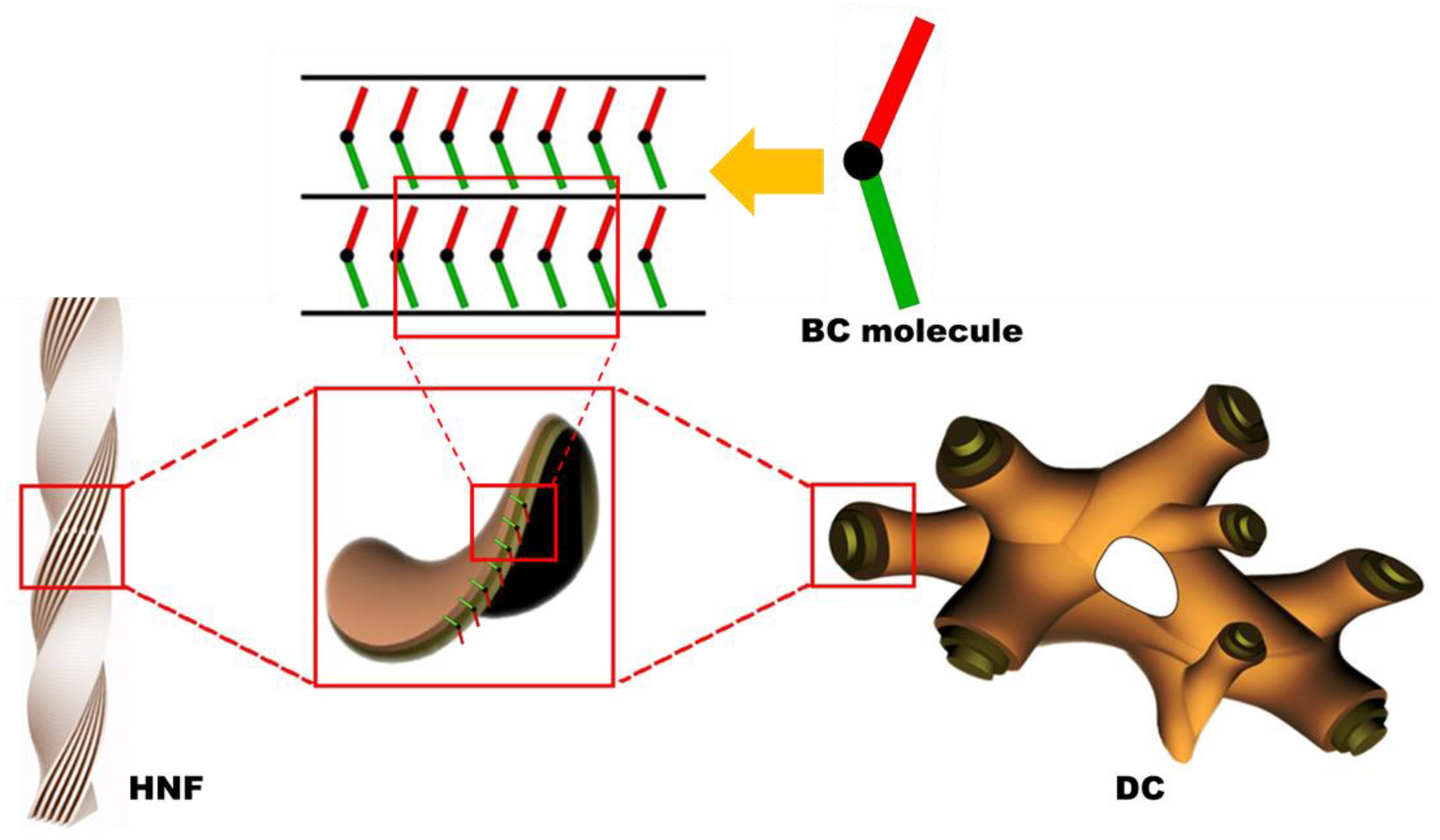 Materials 16 00548 g001 Materials 16 00548 g001