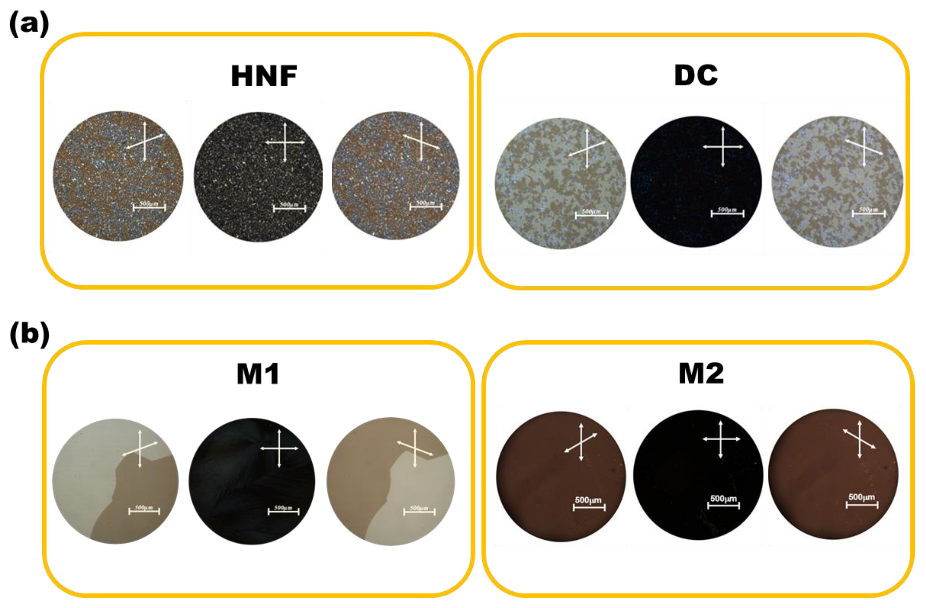 Materials 16 00548 g003 Materials 16 00548 g003