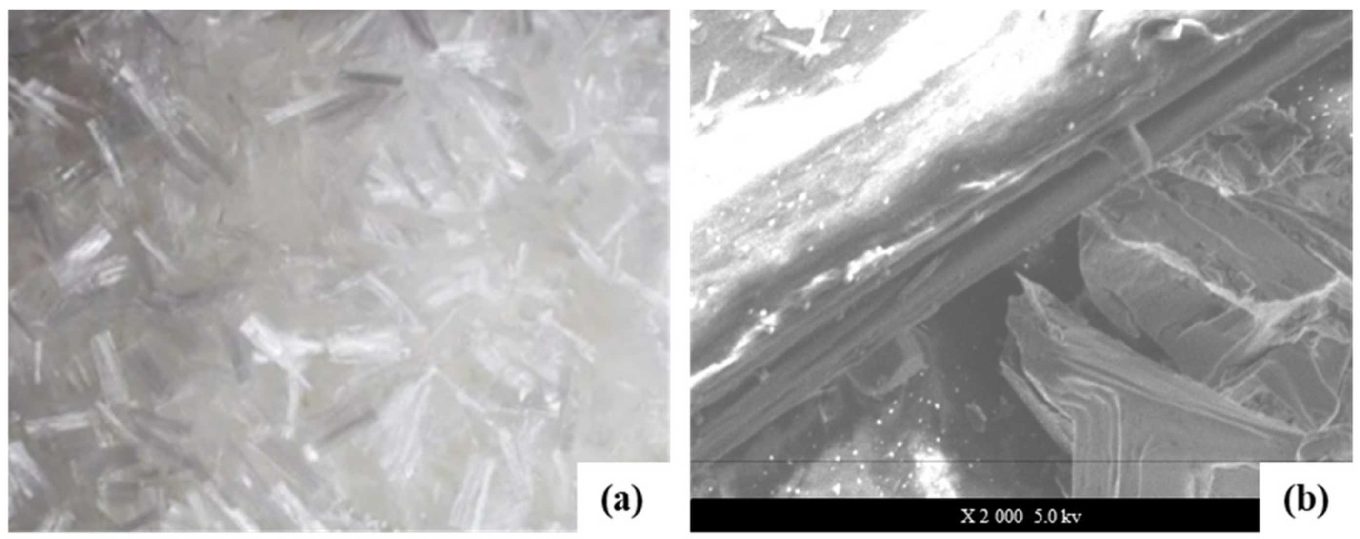 Materials 16 00549 g004 Materials 16 00549 g004