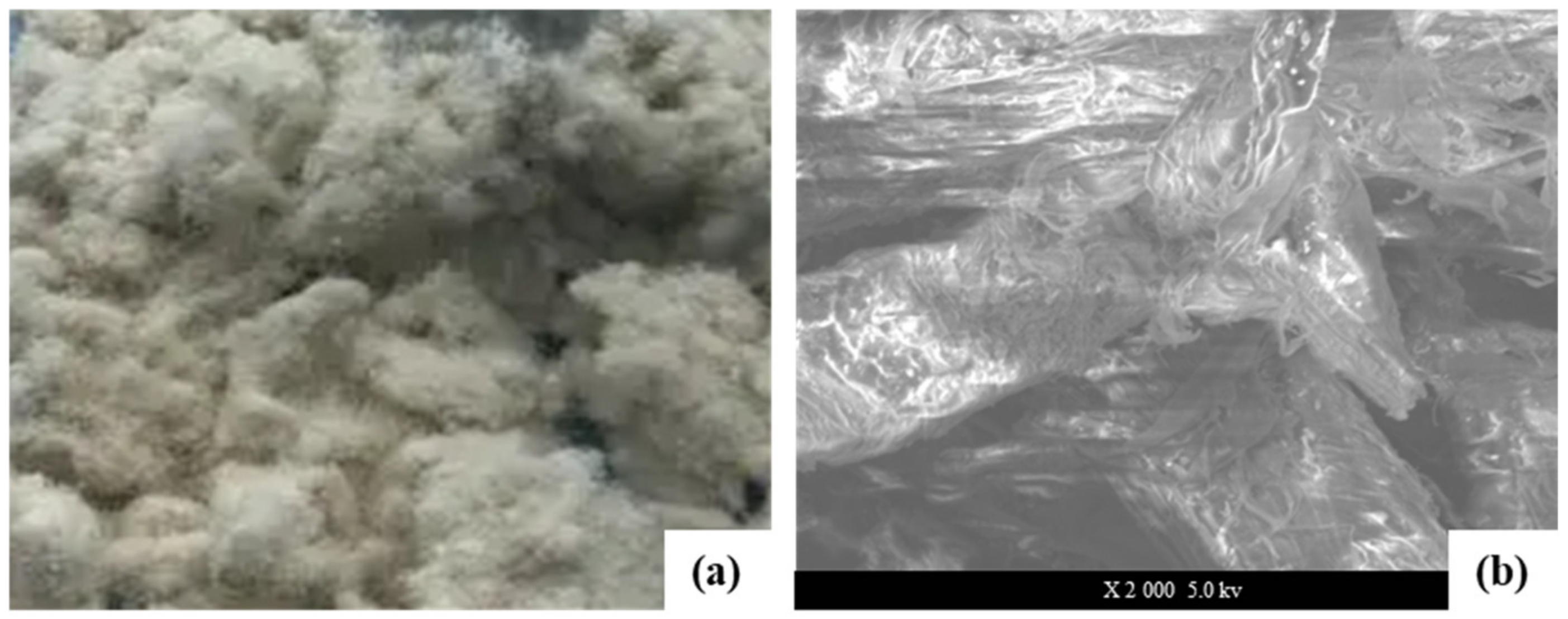 Materials 16 00549 g005 Materials 16 00549 g005