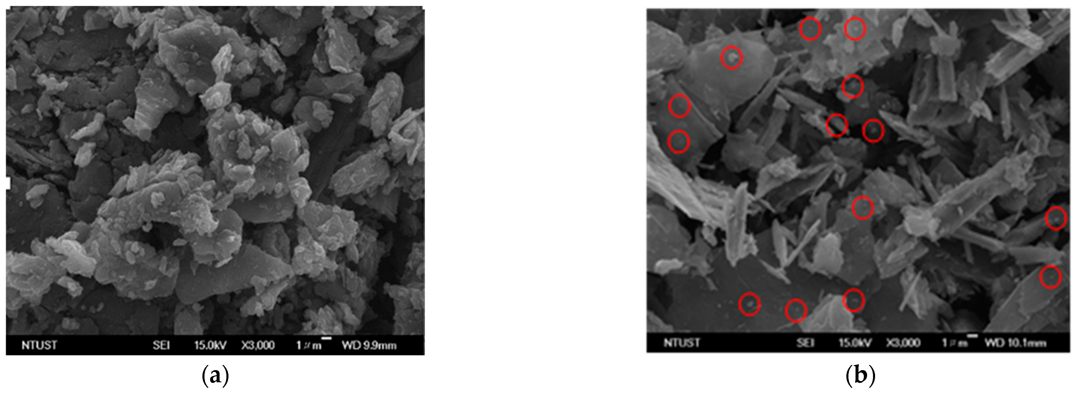 Materials 16 00555 g005a Materials 16 00555 g005a