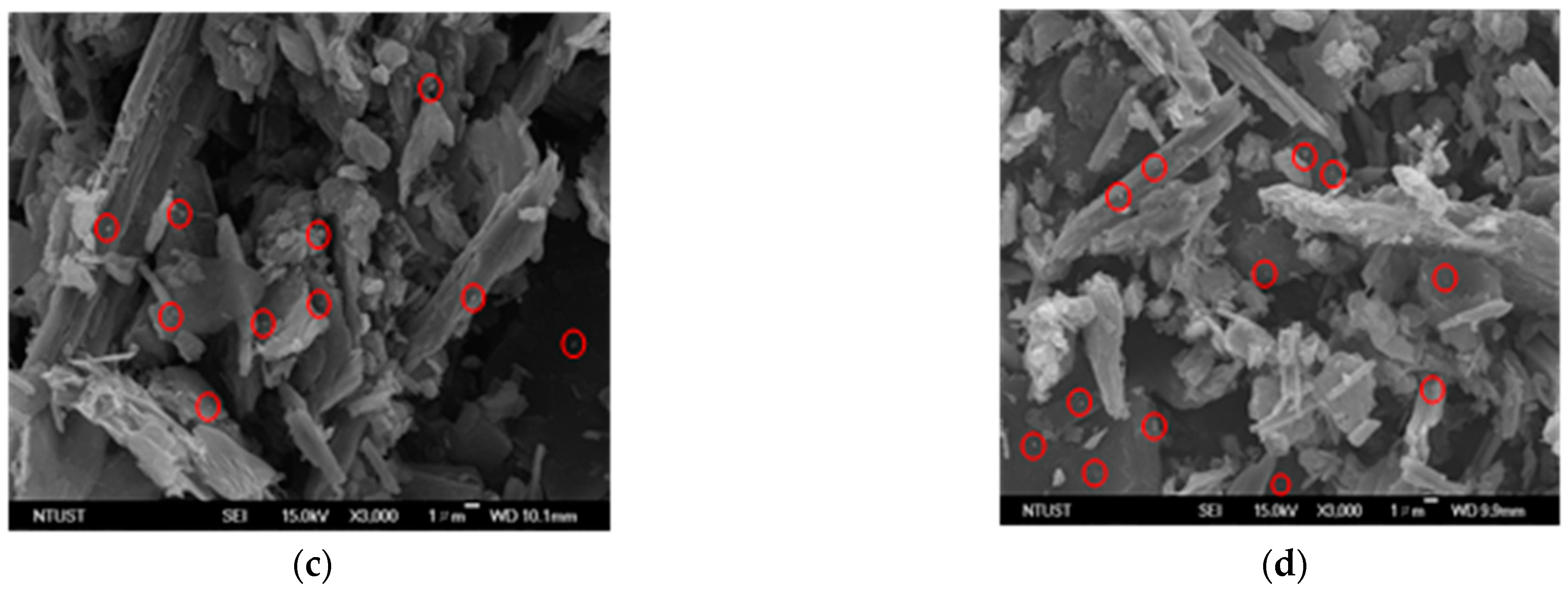 Materials 16 00555 g005b Materials 16 00555 g005b