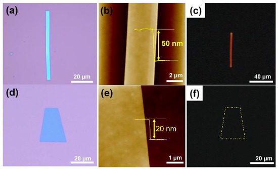 Morphology-Dependent Optoelectronic Properties of Pentacene
