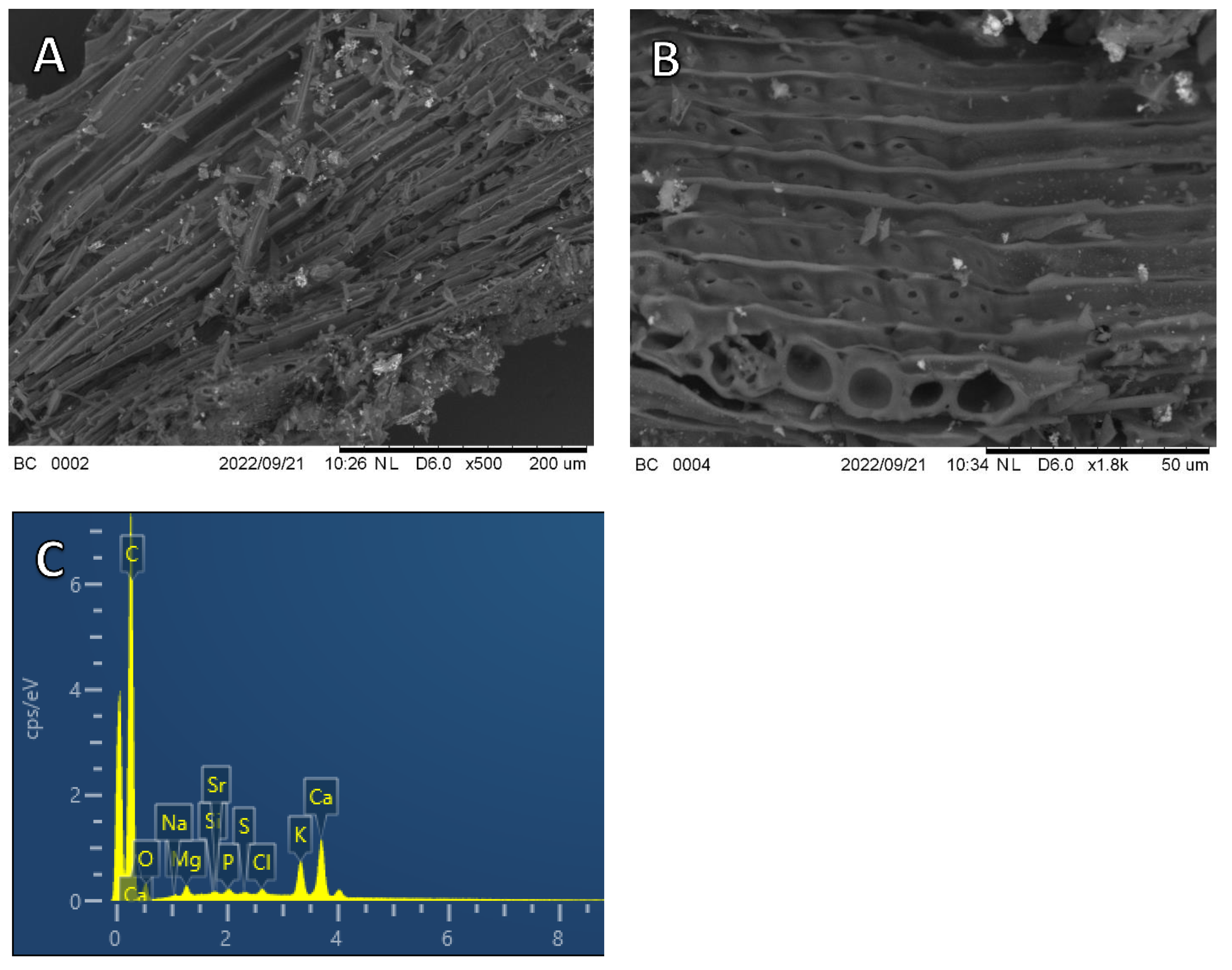 Materials 16 00569 g002 Materials 16 00569 g002