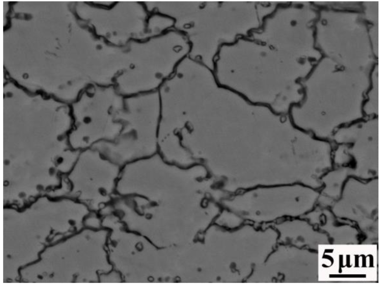 Materials 16 00571 g005