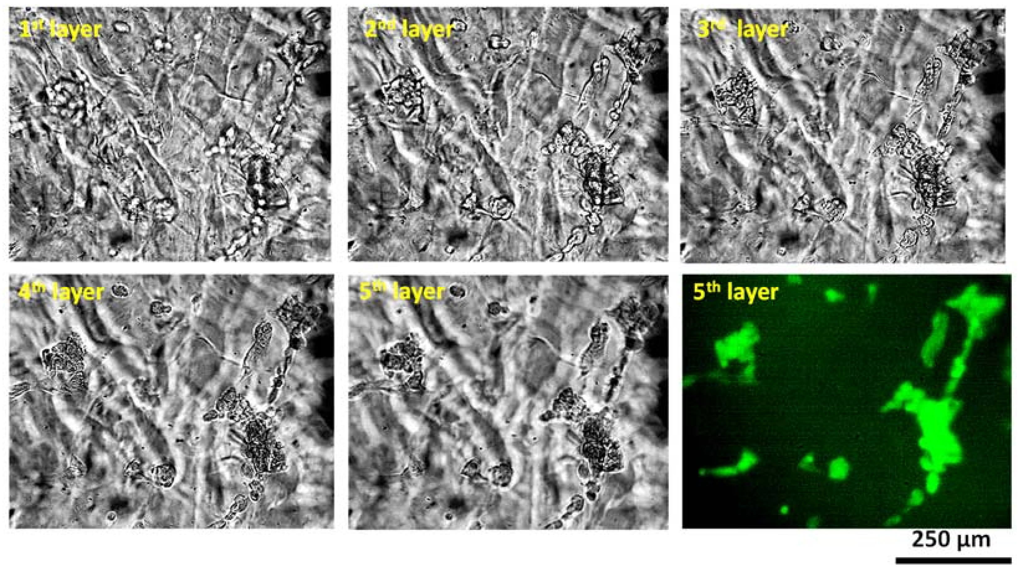 Materials 16 00572 g018 Materials 16 00572 g018