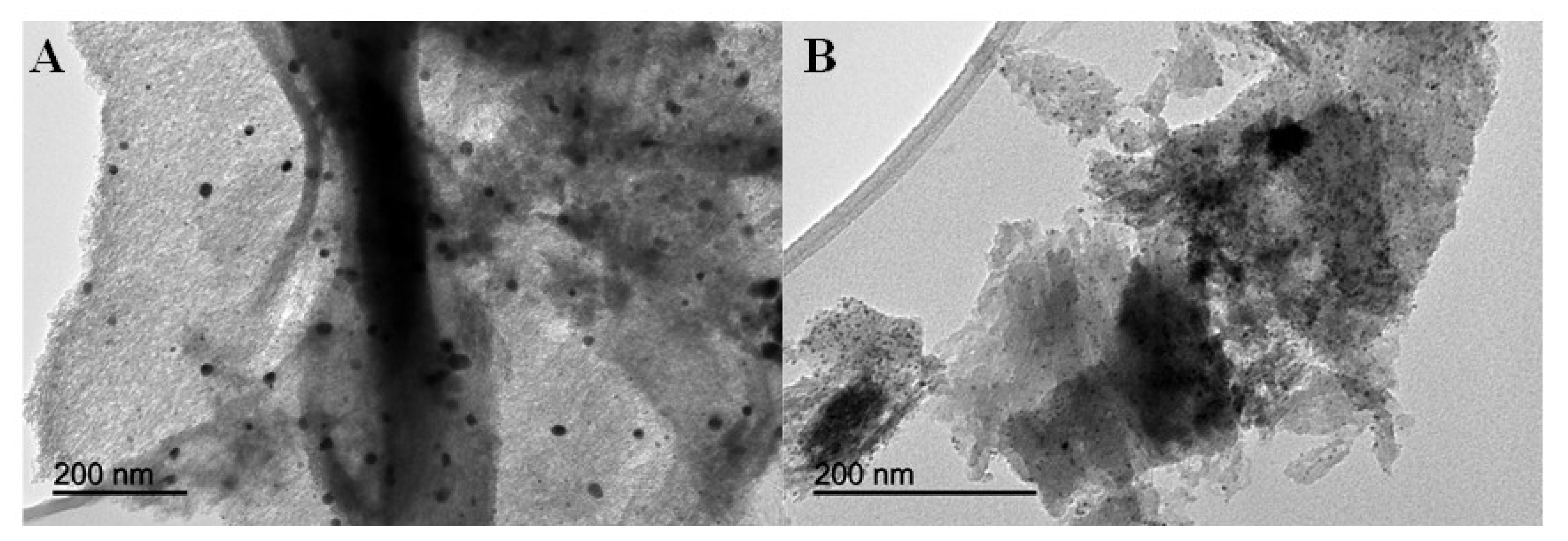 Materials 16 00575 g003