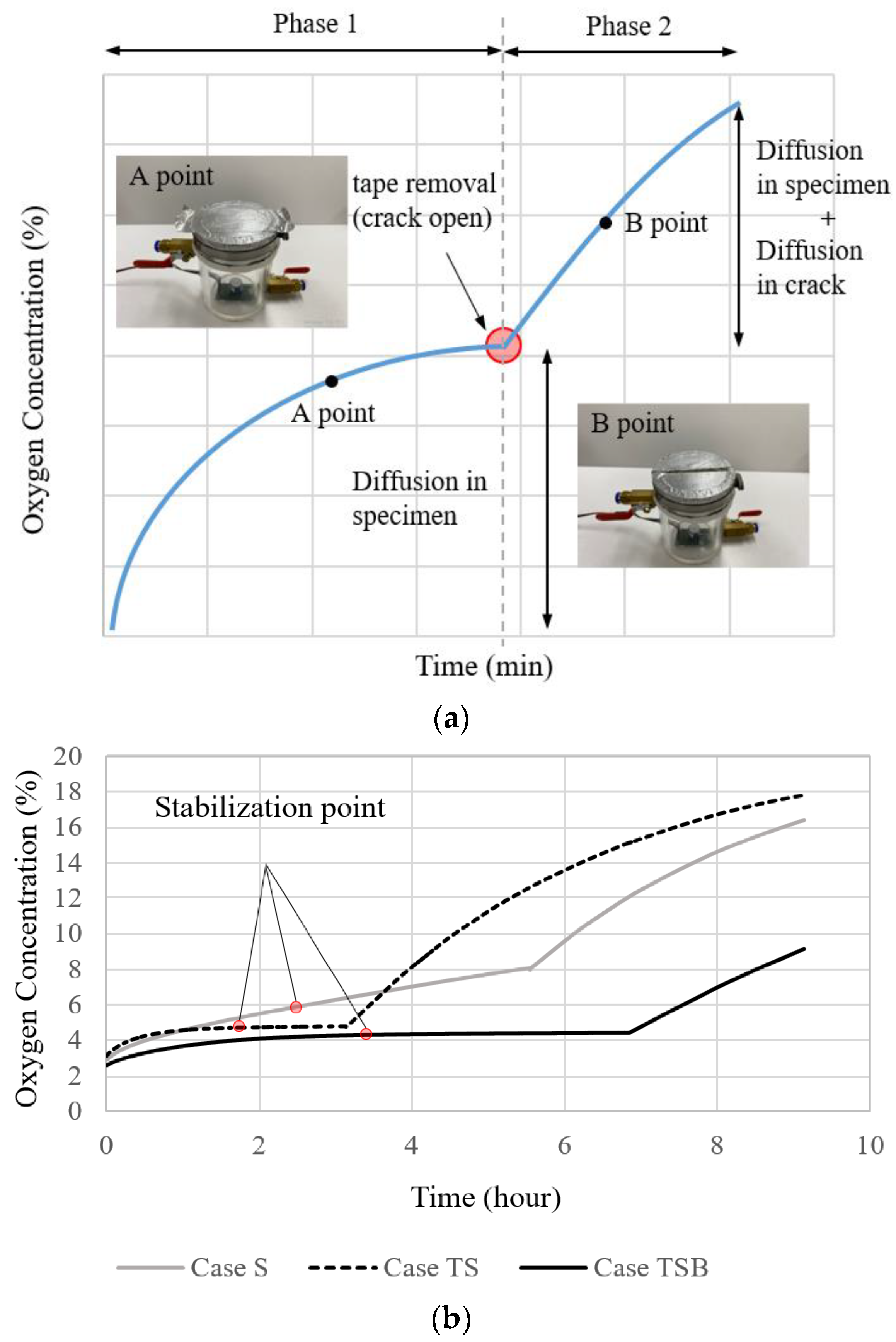 Materials 16 00586 g002