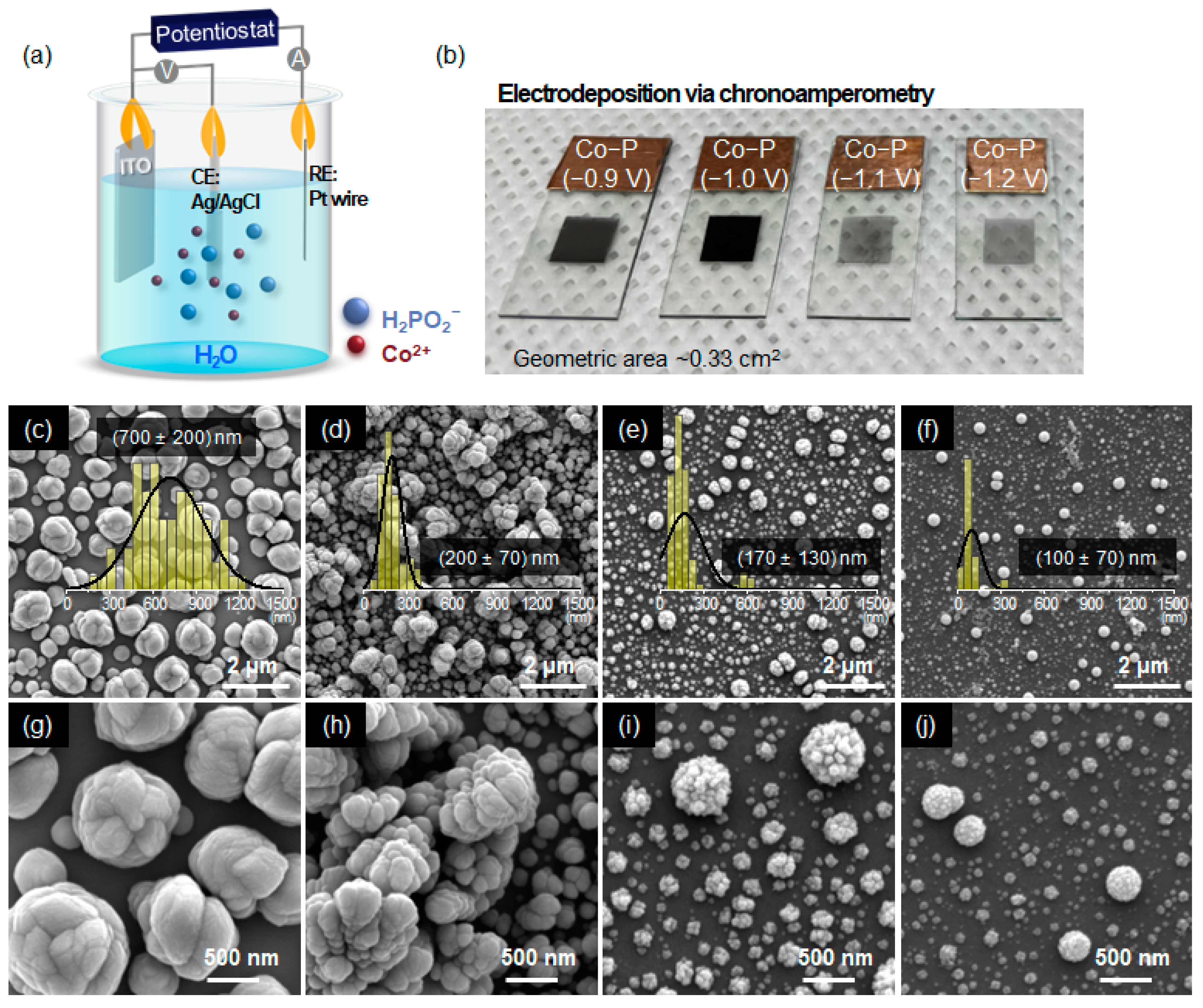 Electrodeposition of Stable NobleMetalFree CoP Electrocatalysts for