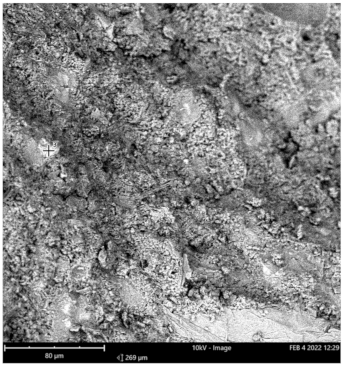 Materials 16 00598 i003 Materials 16 00598 i003