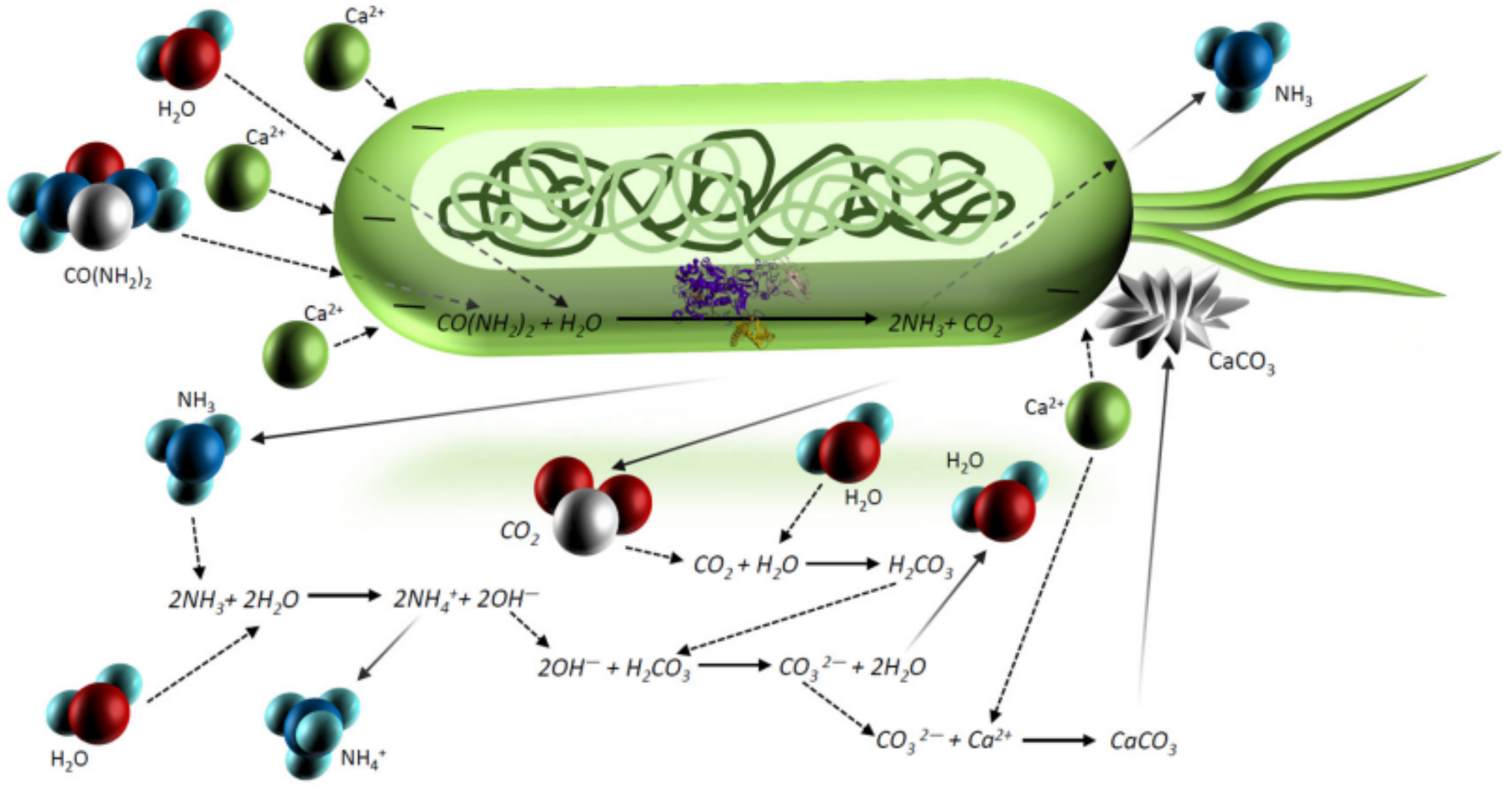 Materials 16 00603 g001 Materials 16 00603 g001