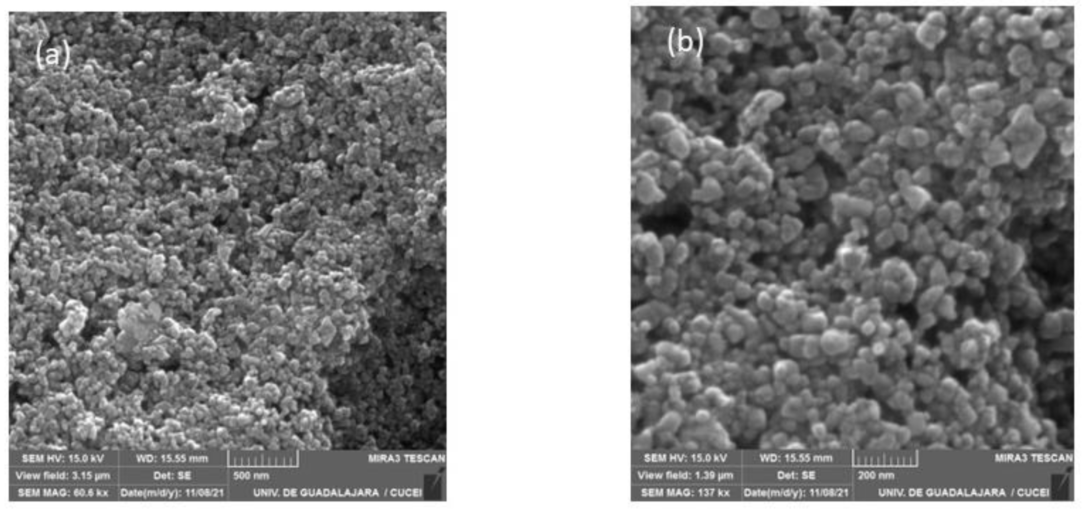 Materials 16 00608 g007 Materials 16 00608 g007