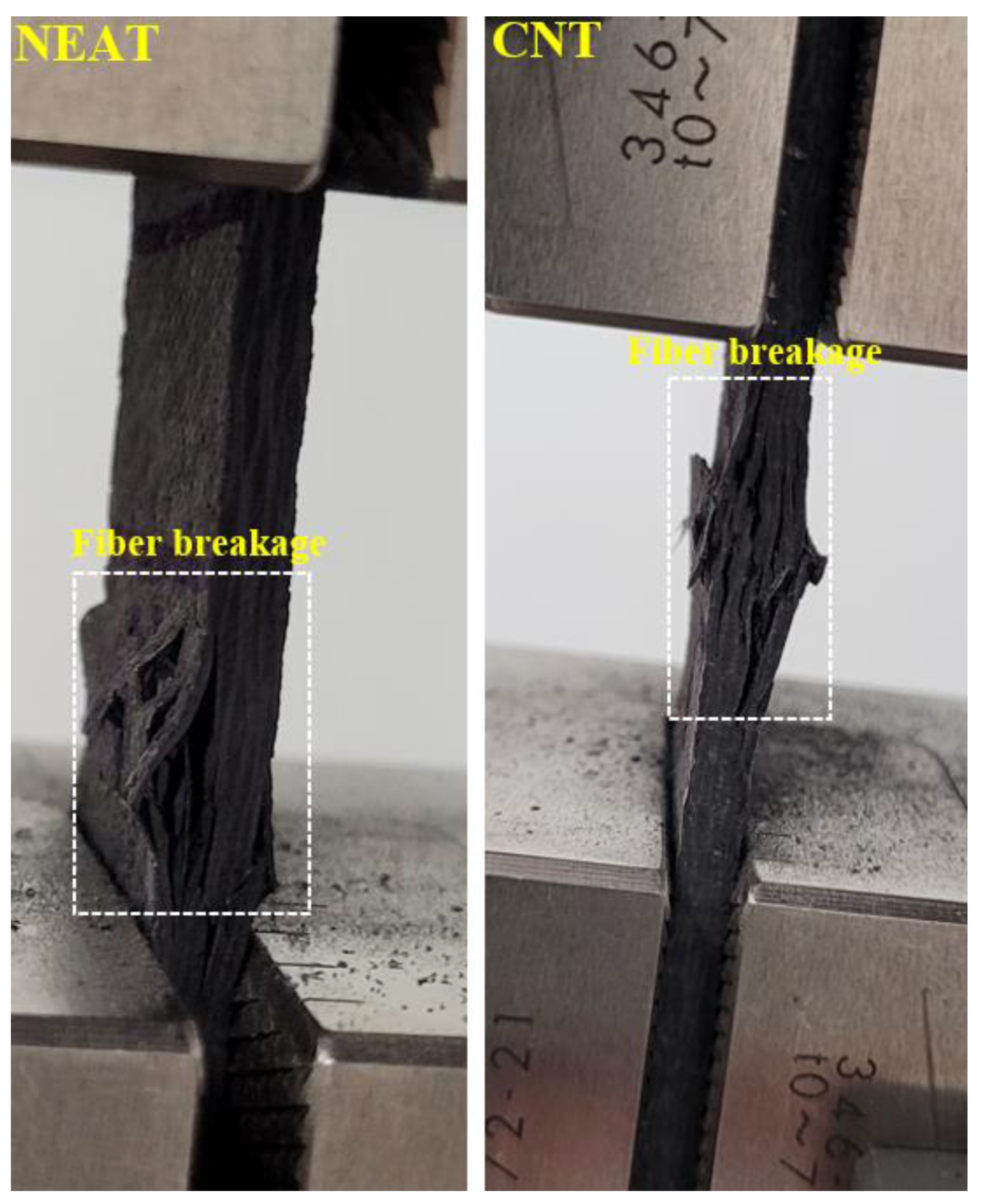 Materials 16 00614 g007