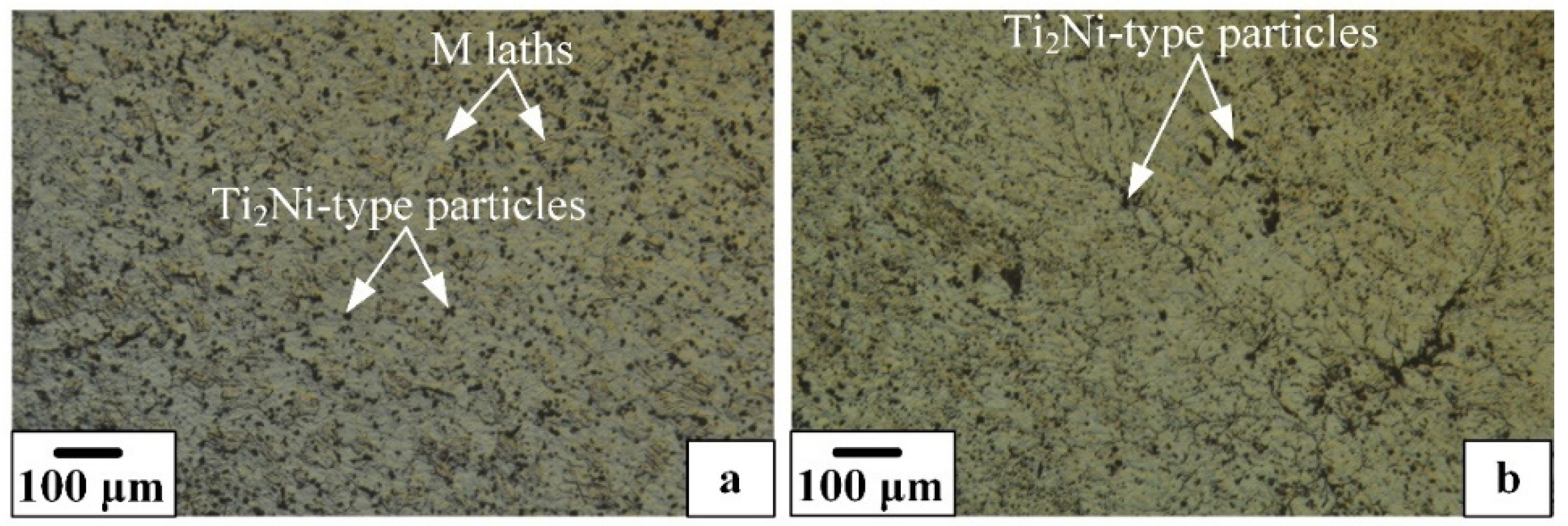 Materials 16 00615 g004 Materials 16 00615 g004