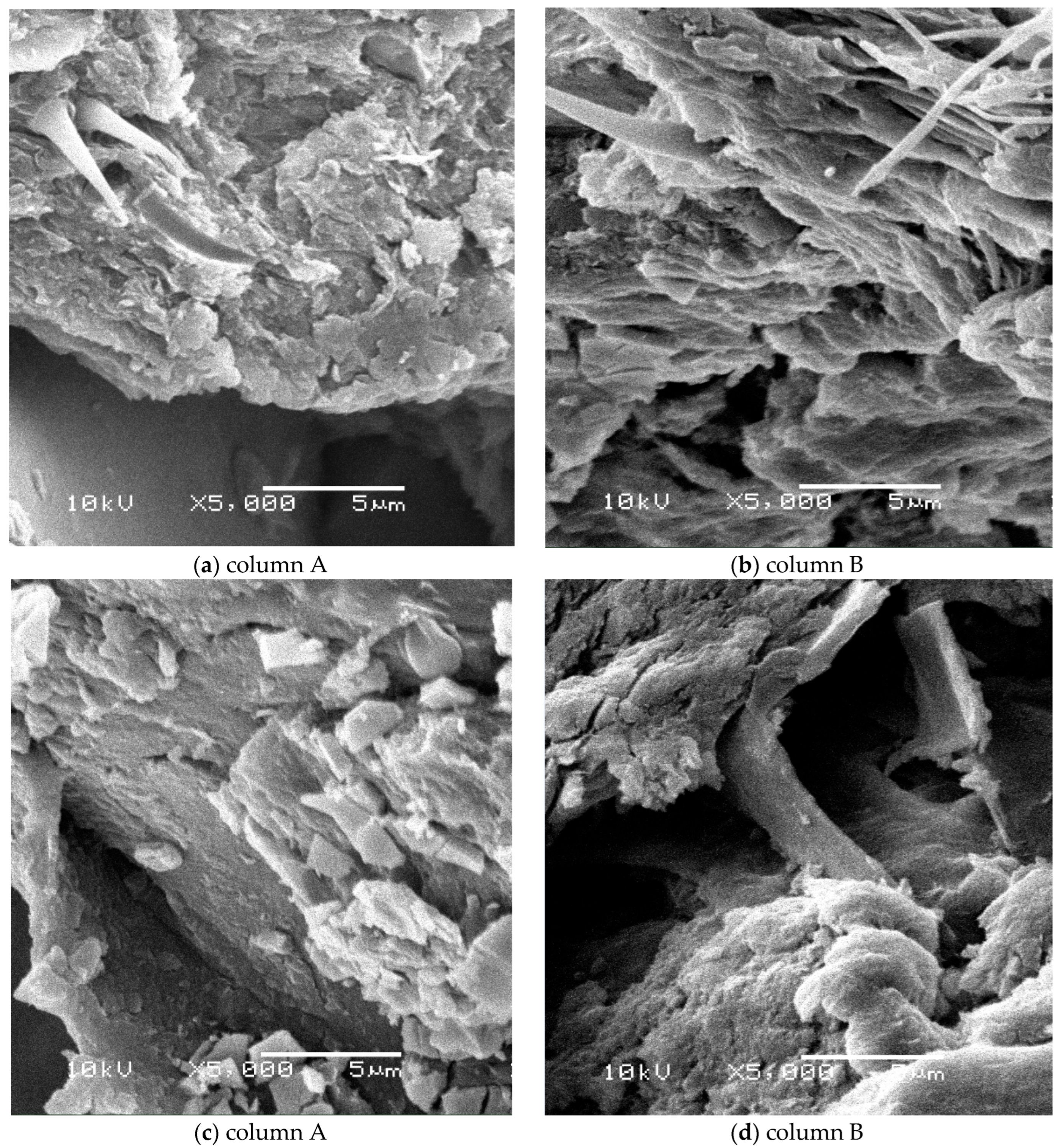 Materials 16 00619 g004 Materials 16 00619 g004