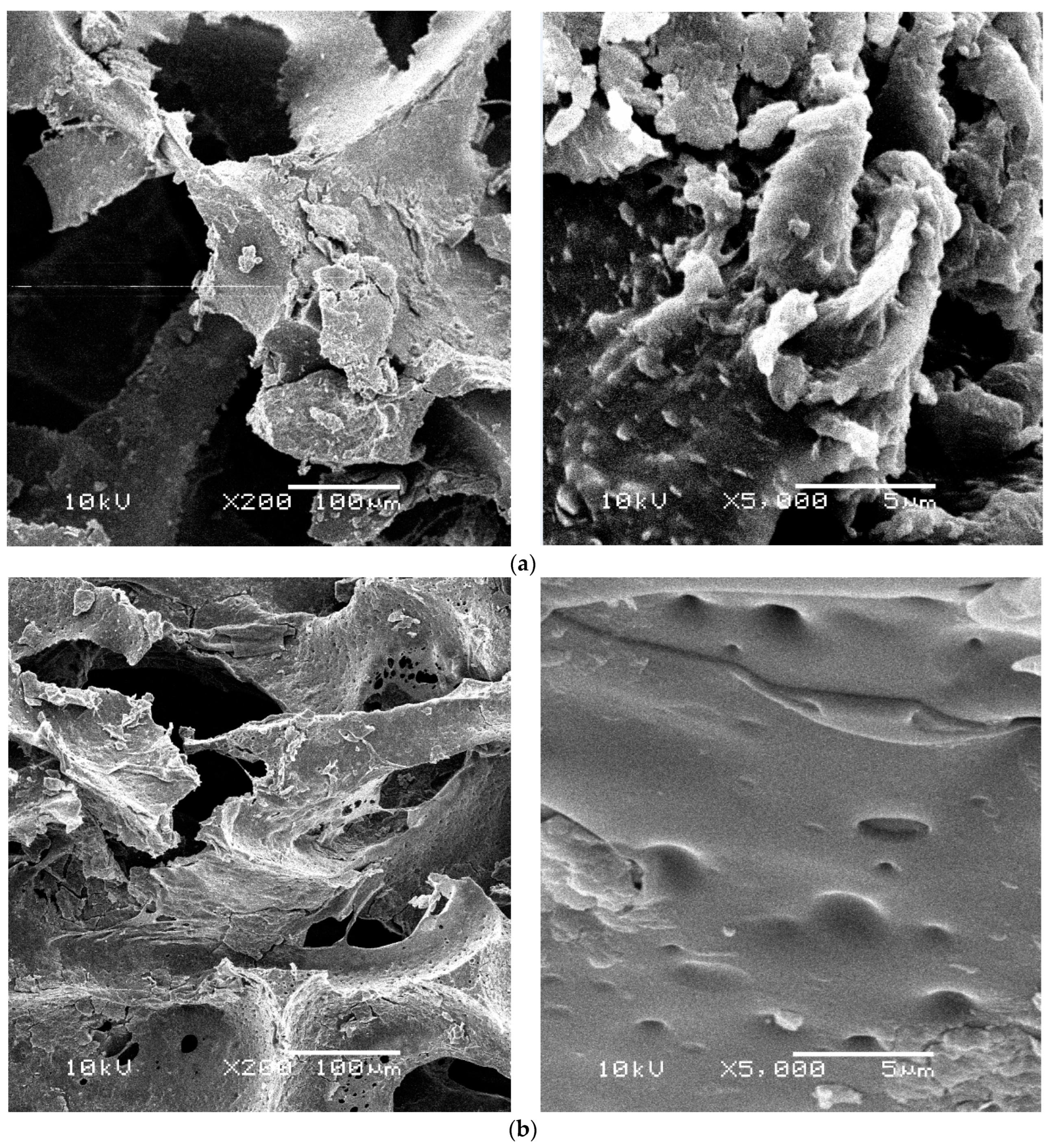 Materials 16 00619 g005 Materials 16 00619 g005