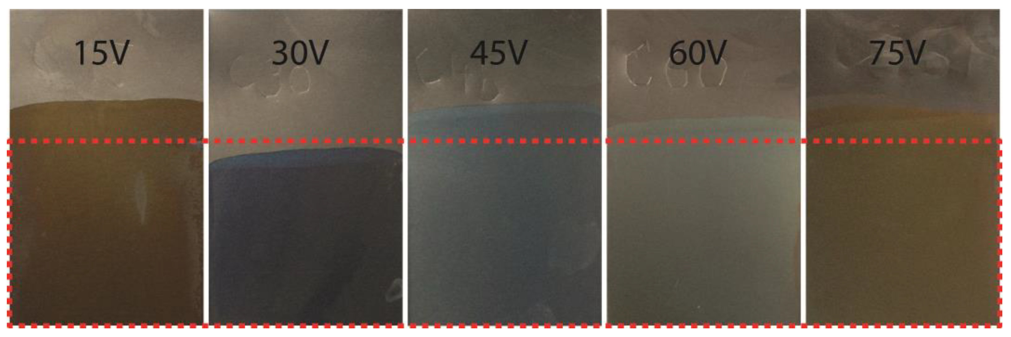 Electrochemical, Biological, and Technological Properties of Anodized