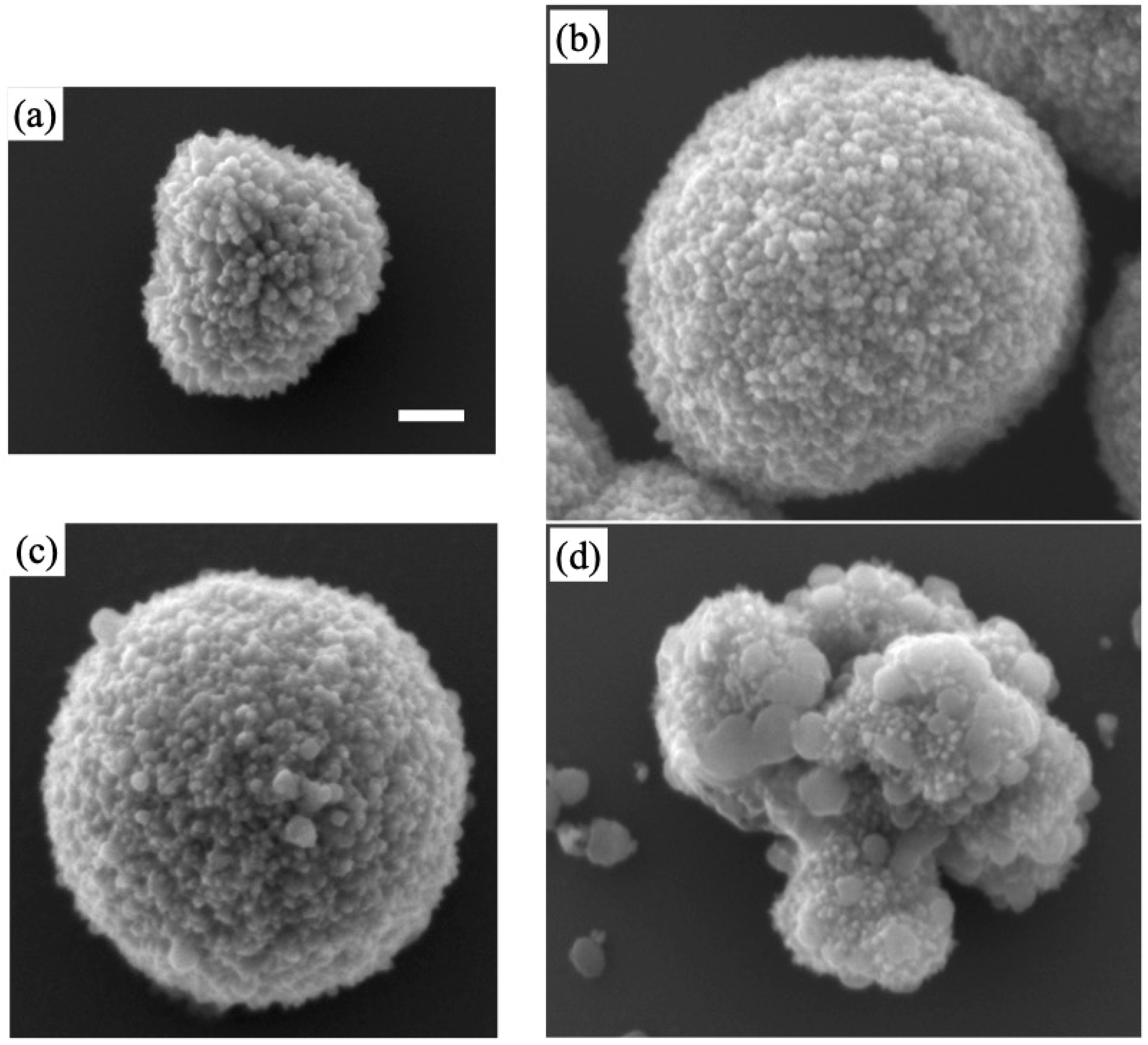 Materials 16 00639 g002 Materials 16 00639 g002