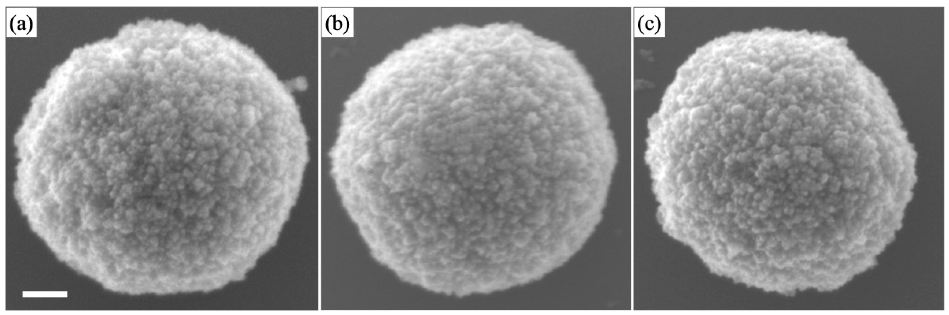 Materials 16 00639 g004 Materials 16 00639 g004