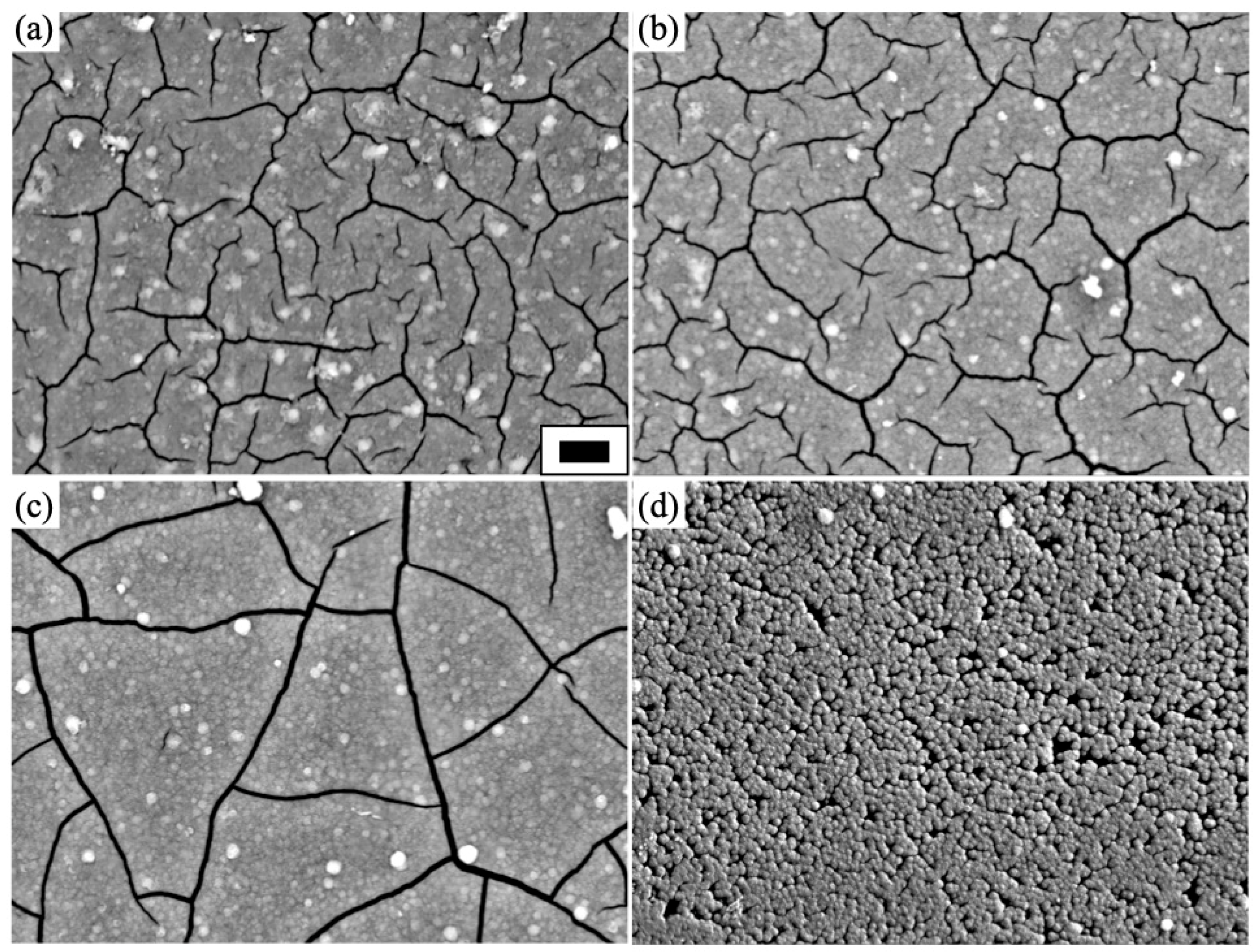 Materials 16 00639 g005 Materials 16 00639 g005