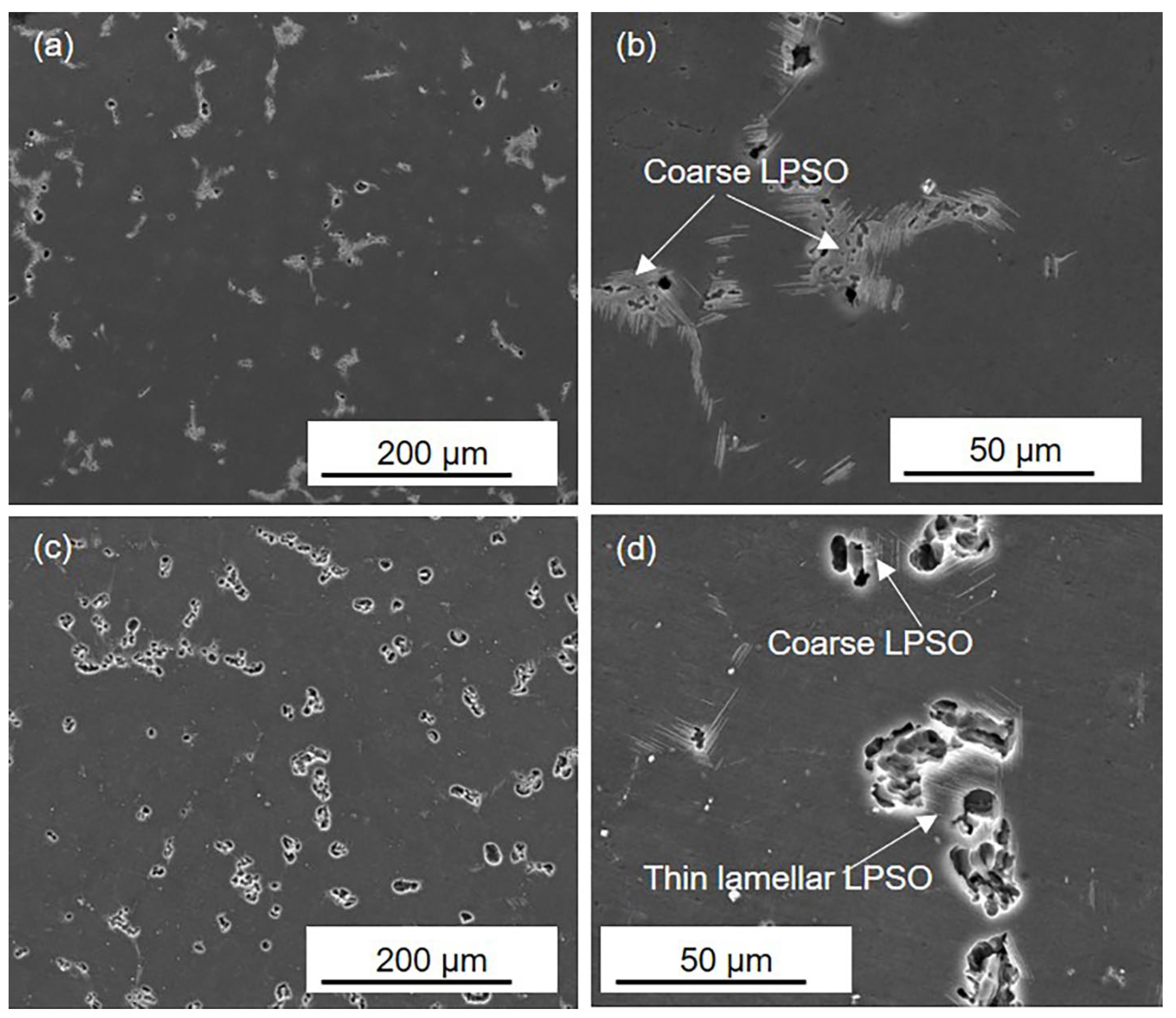 Materials 16 00640 g004 Materials 16 00640 g004